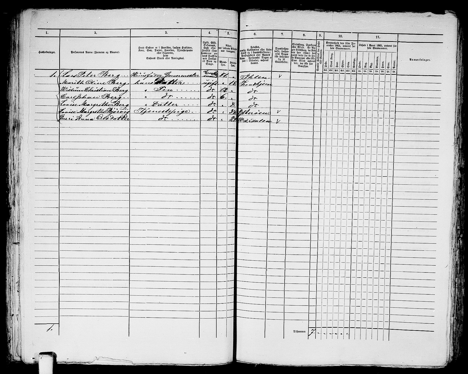 RA, 1865 census for Trondheim, 1865, p. 1225