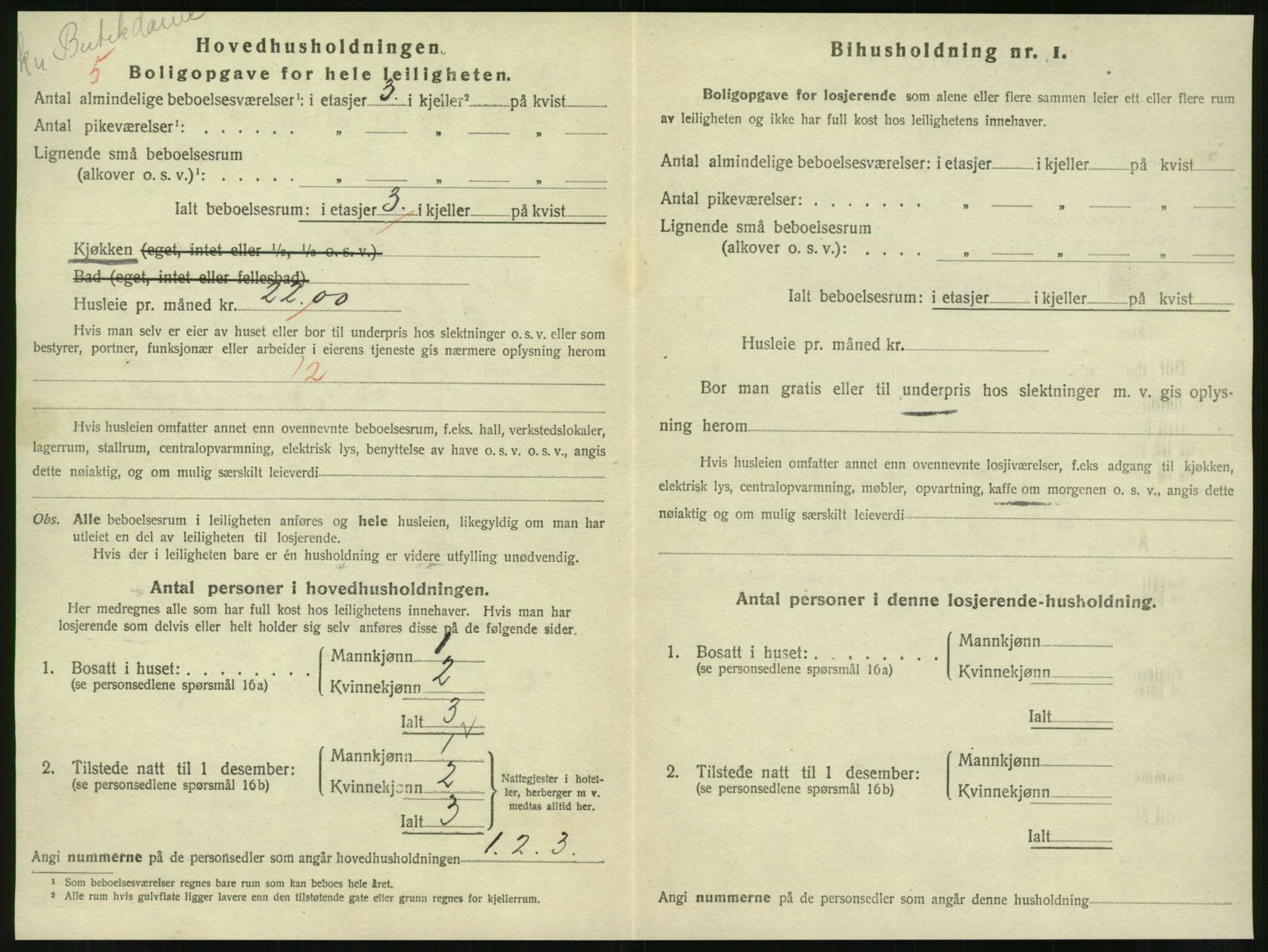 SAT, 1920 census for Steinkjer, 1920, p. 1985