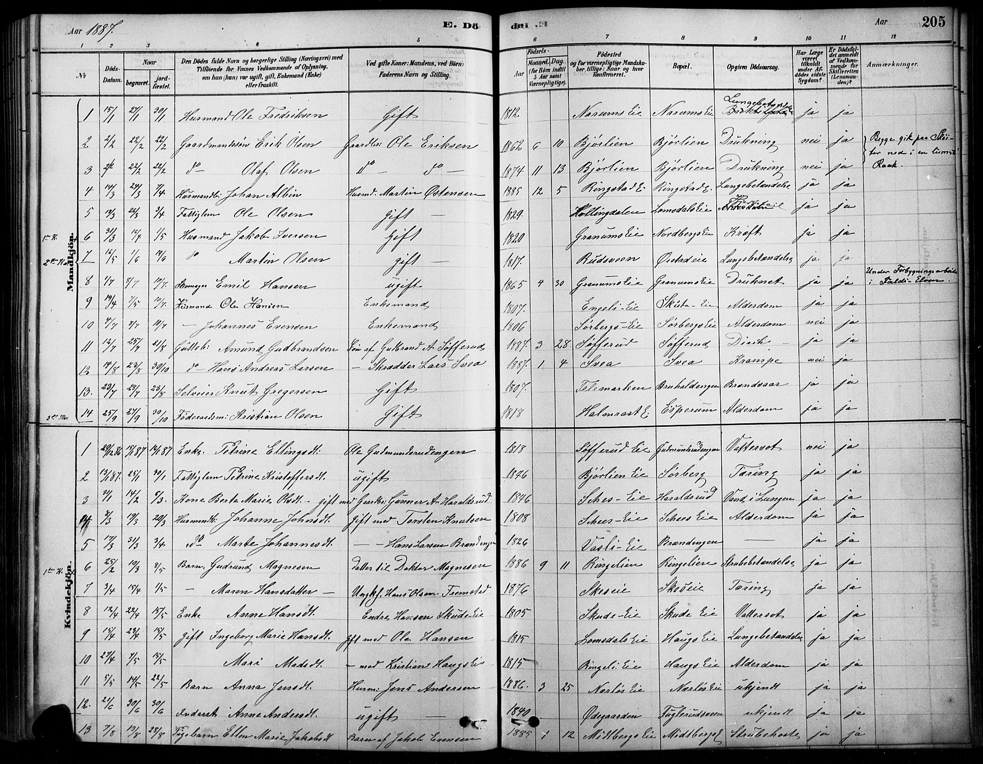 Søndre Land prestekontor, SAH/PREST-122/K/L0003: Parish register (official) no. 3, 1878-1894, p. 205