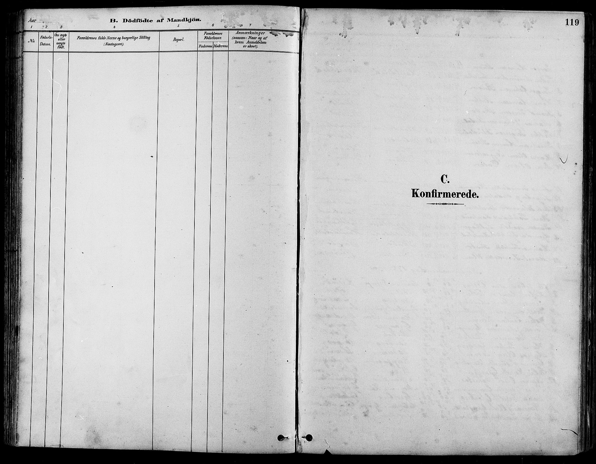 Nord-Fron prestekontor, SAH/PREST-080/H/Ha/Hab/L0005: Parish register (copy) no. 5, 1884-1914, p. 119