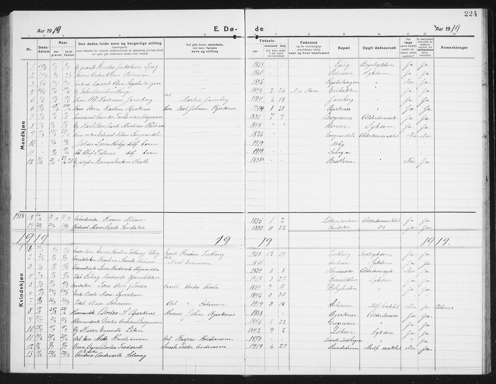 Nes prestekontor Kirkebøker, SAO/A-10410/G/Gc/L0002: Parish register (copy) no. III 2, 1915-1943, p. 224