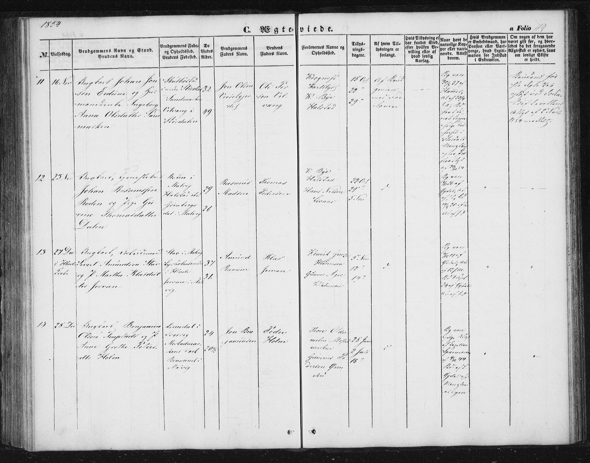 Ministerialprotokoller, klokkerbøker og fødselsregistre - Sør-Trøndelag, AV/SAT-A-1456/616/L0407: Parish register (official) no. 616A04, 1848-1856, p. 119