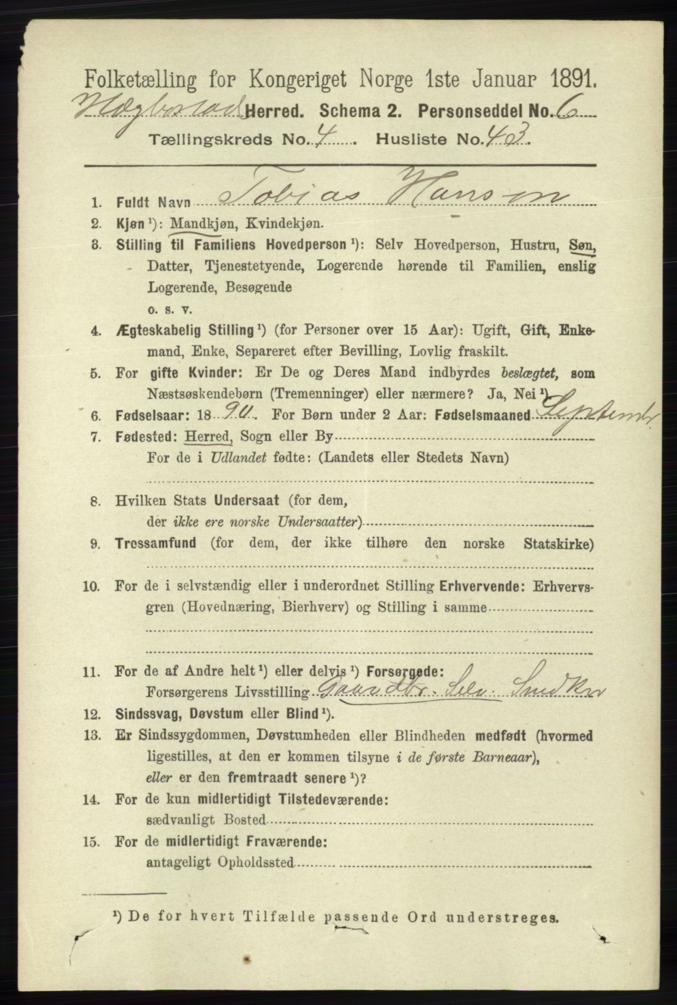 RA, 1891 census for 1034 Hægebostad, 1891, p. 1427