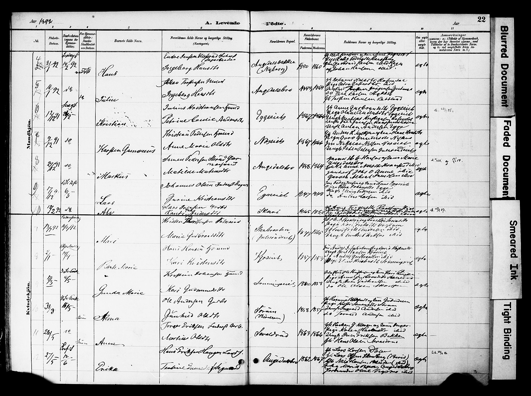 Gran prestekontor, SAH/PREST-112/H/Ha/Haa/L0020: Parish register (official) no. 20, 1889-1899, p. 22