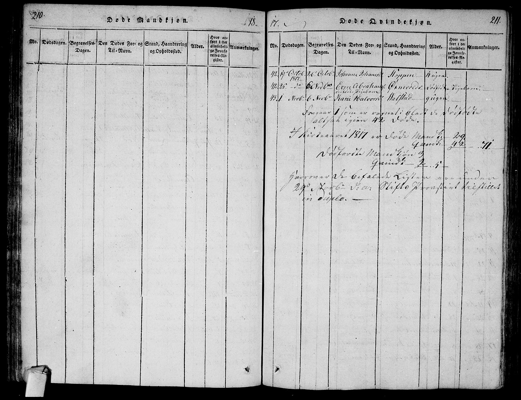 Lier kirkebøker, AV/SAKO-A-230/F/Fa/L0008: Parish register (official) no. I 8, 1813-1825, p. 210-211