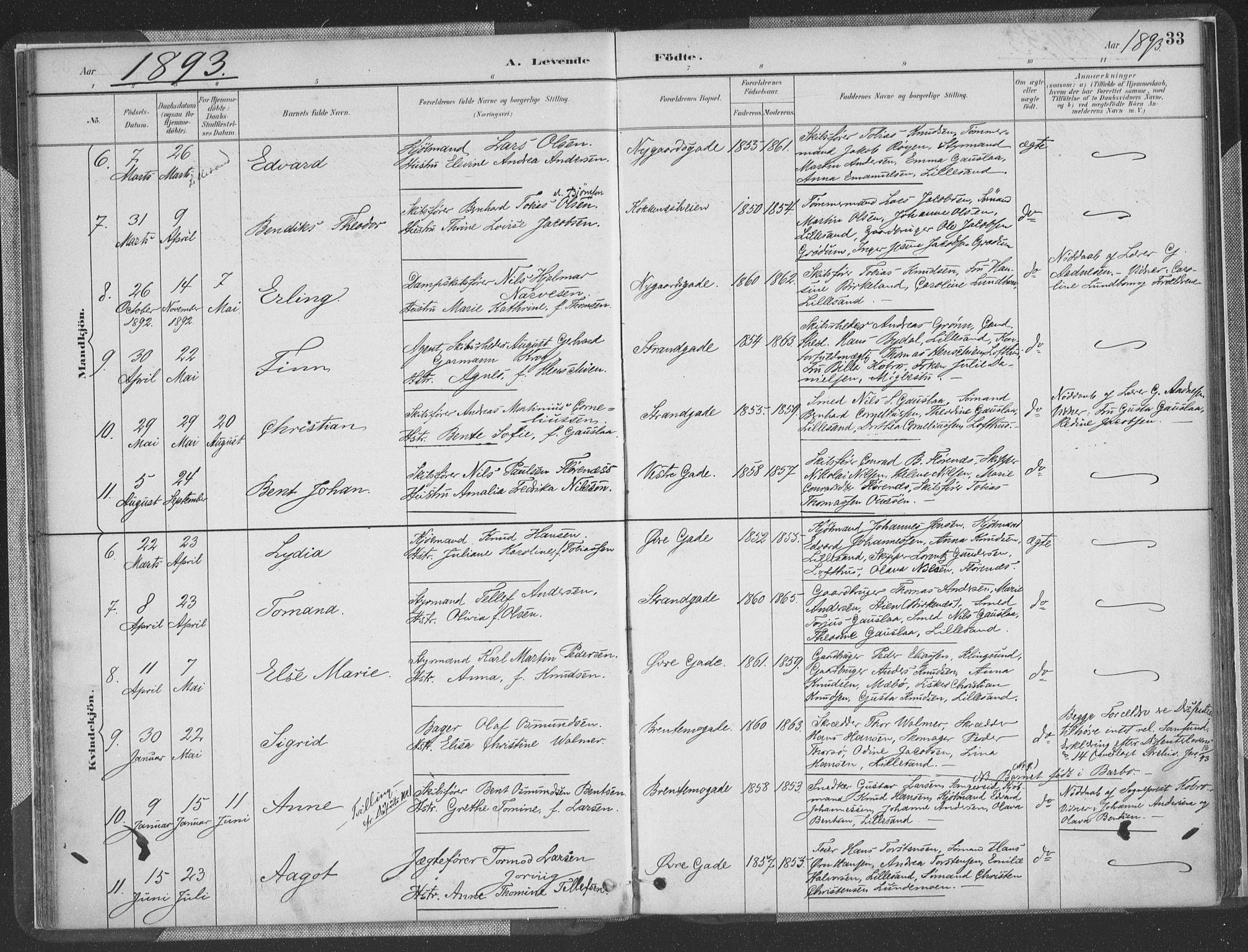 Vestre Moland sokneprestkontor, AV/SAK-1111-0046/F/Fa/Faa/L0001: Parish register (official) no. A 1, 1884-1899, p. 34