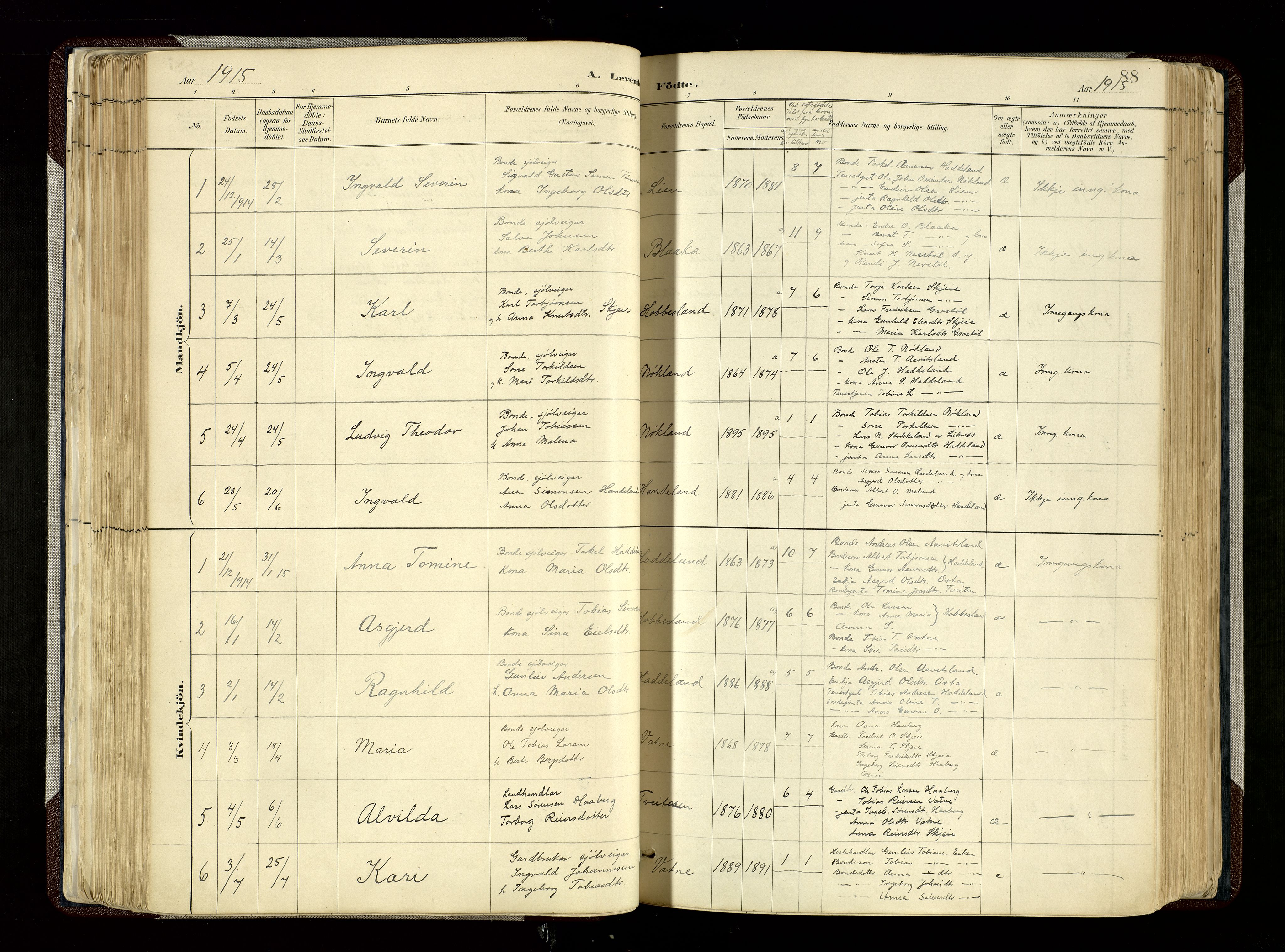 Hægebostad sokneprestkontor, SAK/1111-0024/F/Fa/Fab/L0004: Parish register (official) no. A 4, 1887-1929, p. 88