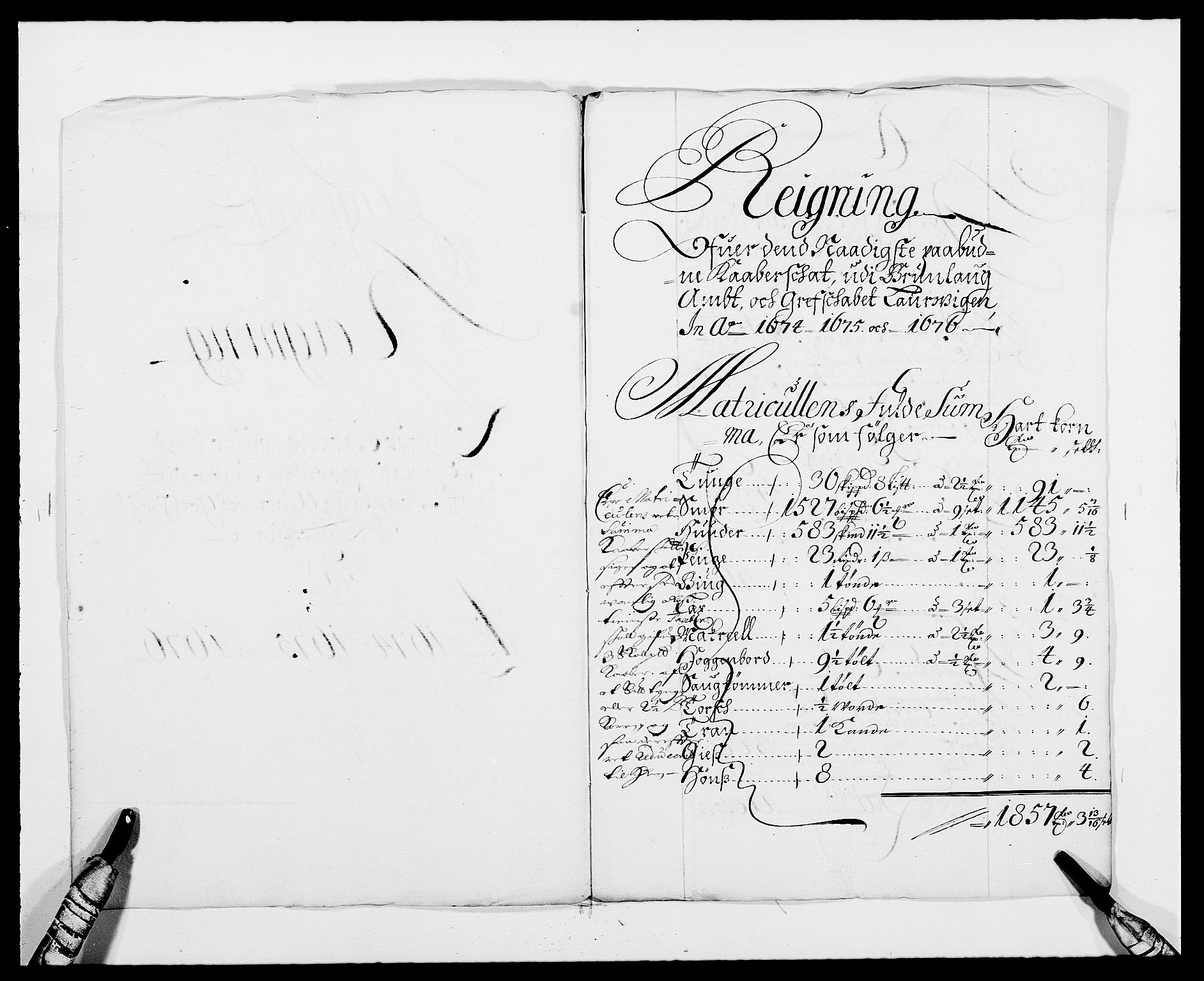 Rentekammeret inntil 1814, Reviderte regnskaper, Fogderegnskap, RA/EA-4092/R33/L1967: Fogderegnskap Larvik grevskap, 1675-1687, p. 334
