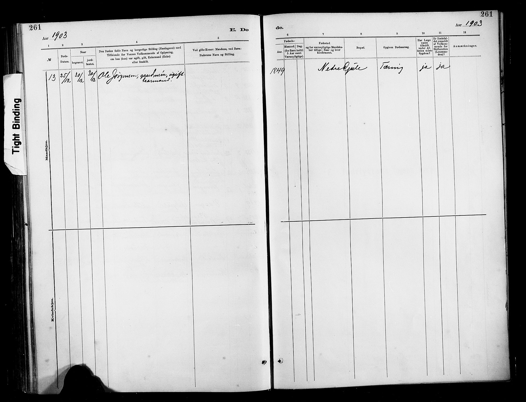 Ministerialprotokoller, klokkerbøker og fødselsregistre - Møre og Romsdal, AV/SAT-A-1454/566/L0769: Parish register (official) no. 566A08, 1881-1903, p. 261