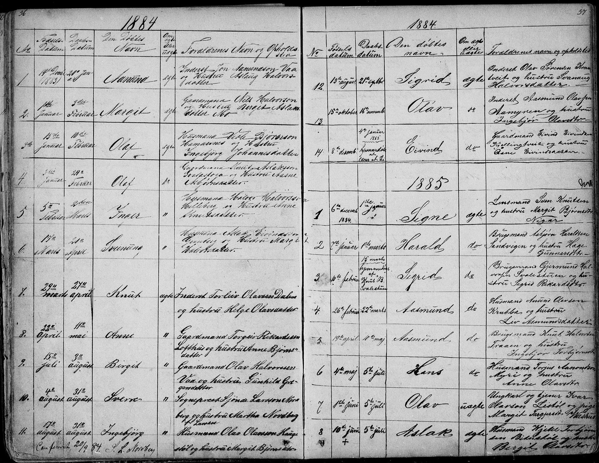 Rauland kirkebøker, SAKO/A-292/G/Ga/L0002: Parish register (copy) no. I 2, 1849-1935, p. 56-57