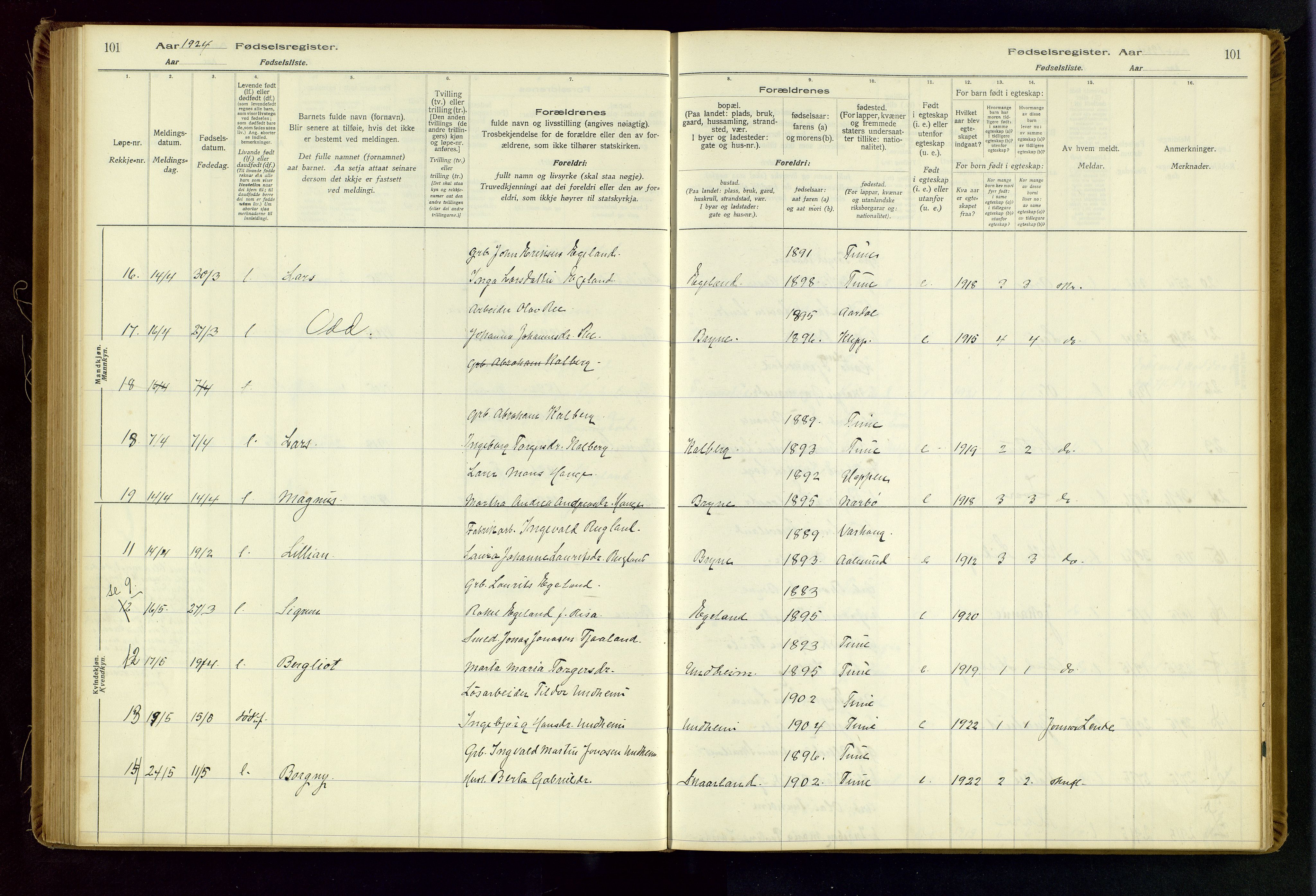Time sokneprestkontor, AV/SAST-A-101795/001/704BA/L0001: Birth register no. 1, 1916-1934, p. 101