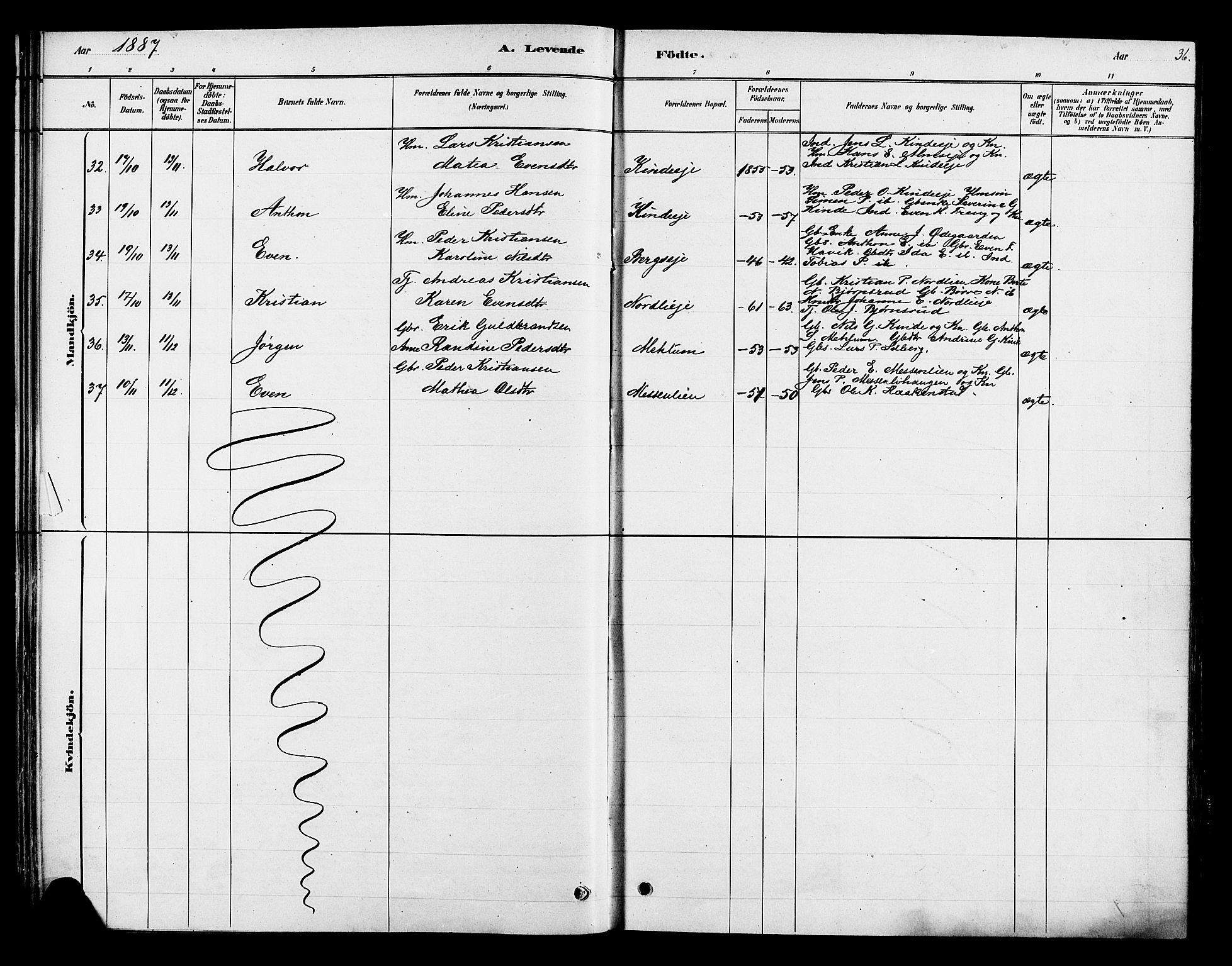 Ringsaker prestekontor, AV/SAH-PREST-014/K/Ka/L0013: Parish register (official) no. 13, 1879-1890, p. 36