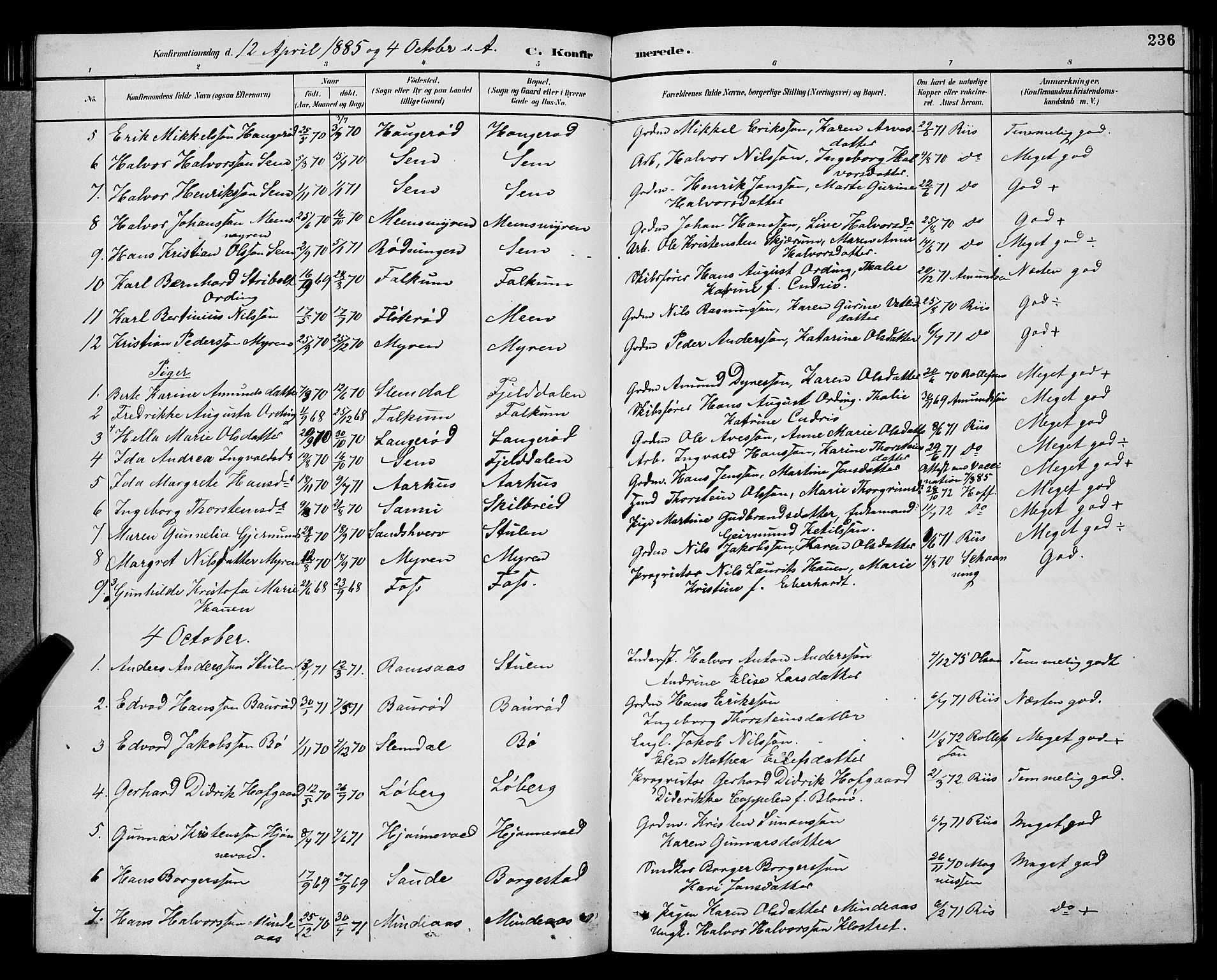 Gjerpen kirkebøker, AV/SAKO-A-265/G/Ga/L0002: Parish register (copy) no. I 2, 1883-1900, p. 236