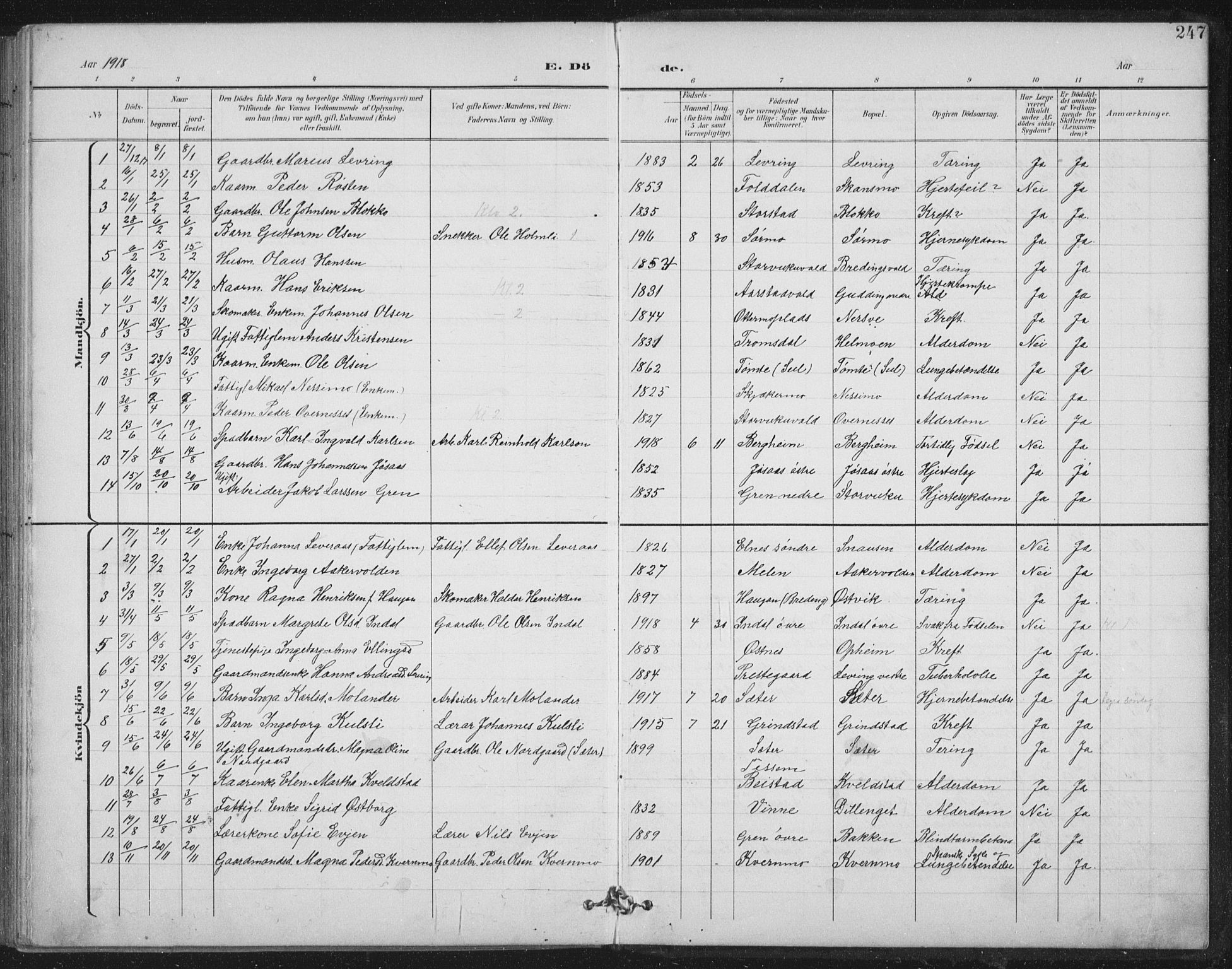 Ministerialprotokoller, klokkerbøker og fødselsregistre - Nord-Trøndelag, SAT/A-1458/724/L0269: Parish register (copy) no. 724C05, 1899-1920, p. 247