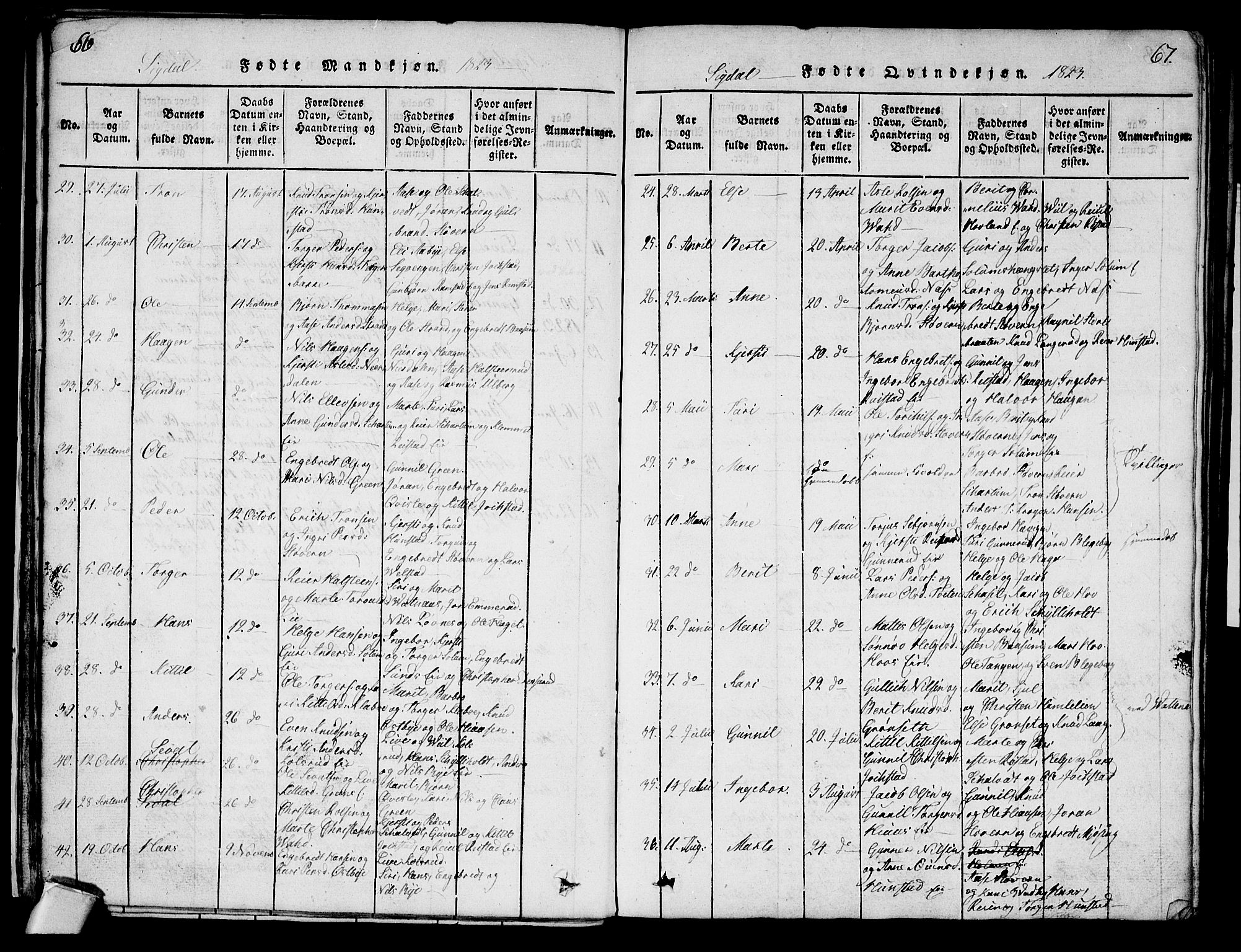 Sigdal kirkebøker, AV/SAKO-A-245/G/Ga/L0001: Parish register (copy) no. I 1 /1, 1816-1835, p. 66-67