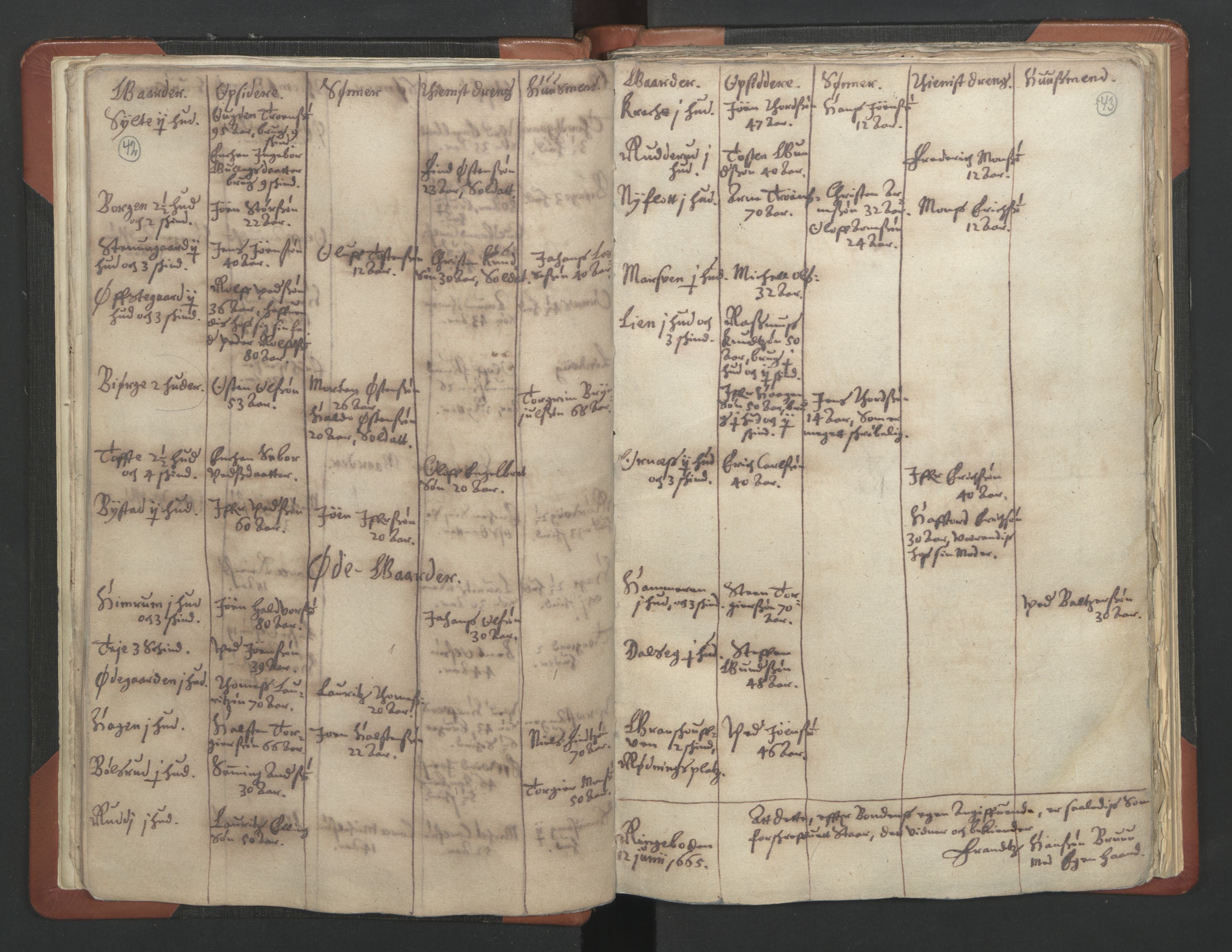 RA, Vicar's Census 1664-1666, no. 6: Gudbrandsdal deanery, 1664-1666, p. 42-43