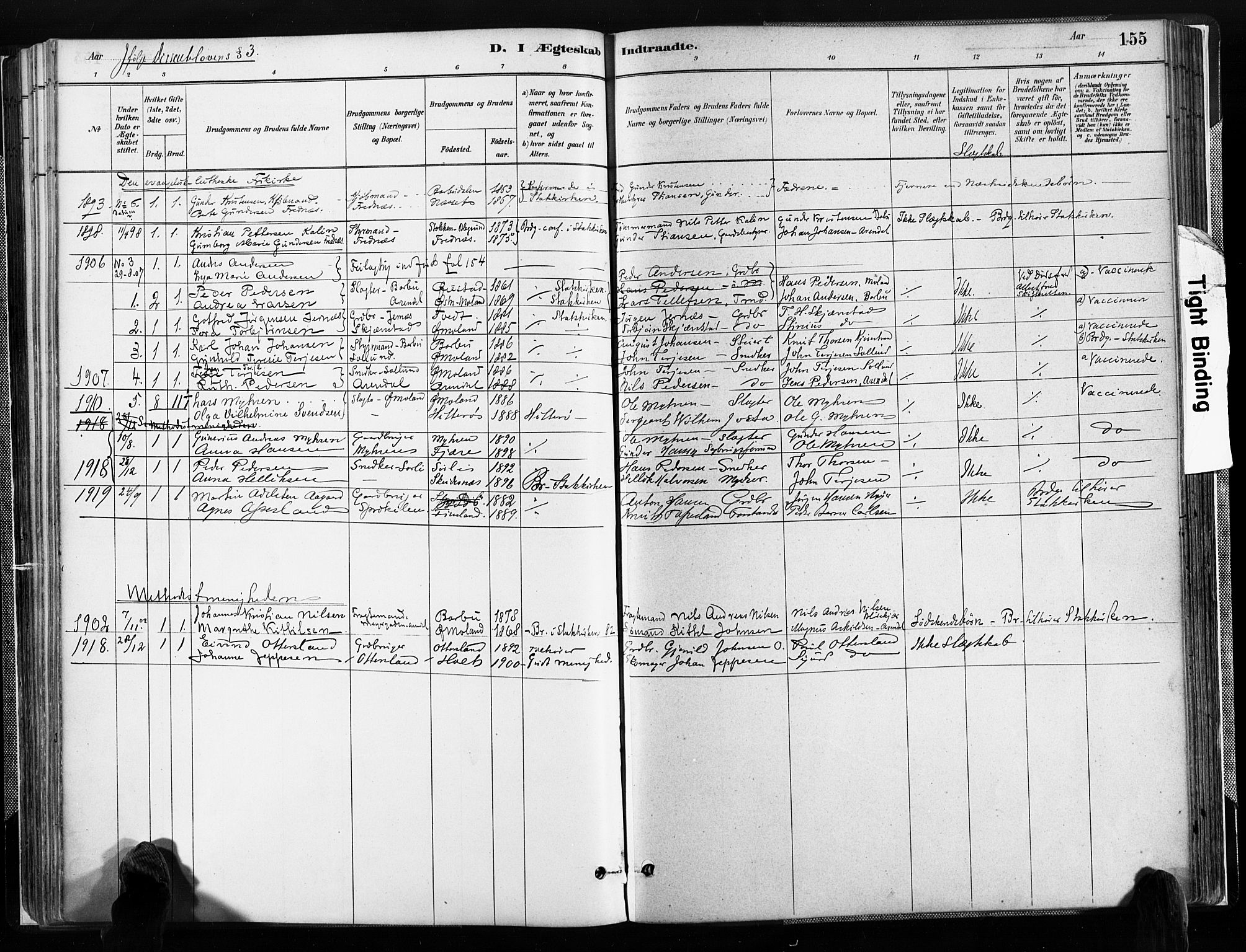 Austre Moland sokneprestkontor, SAK/1111-0001/F/Fa/Faa/L0010: Parish register (official) no. A 10, 1880-1904, p. 155