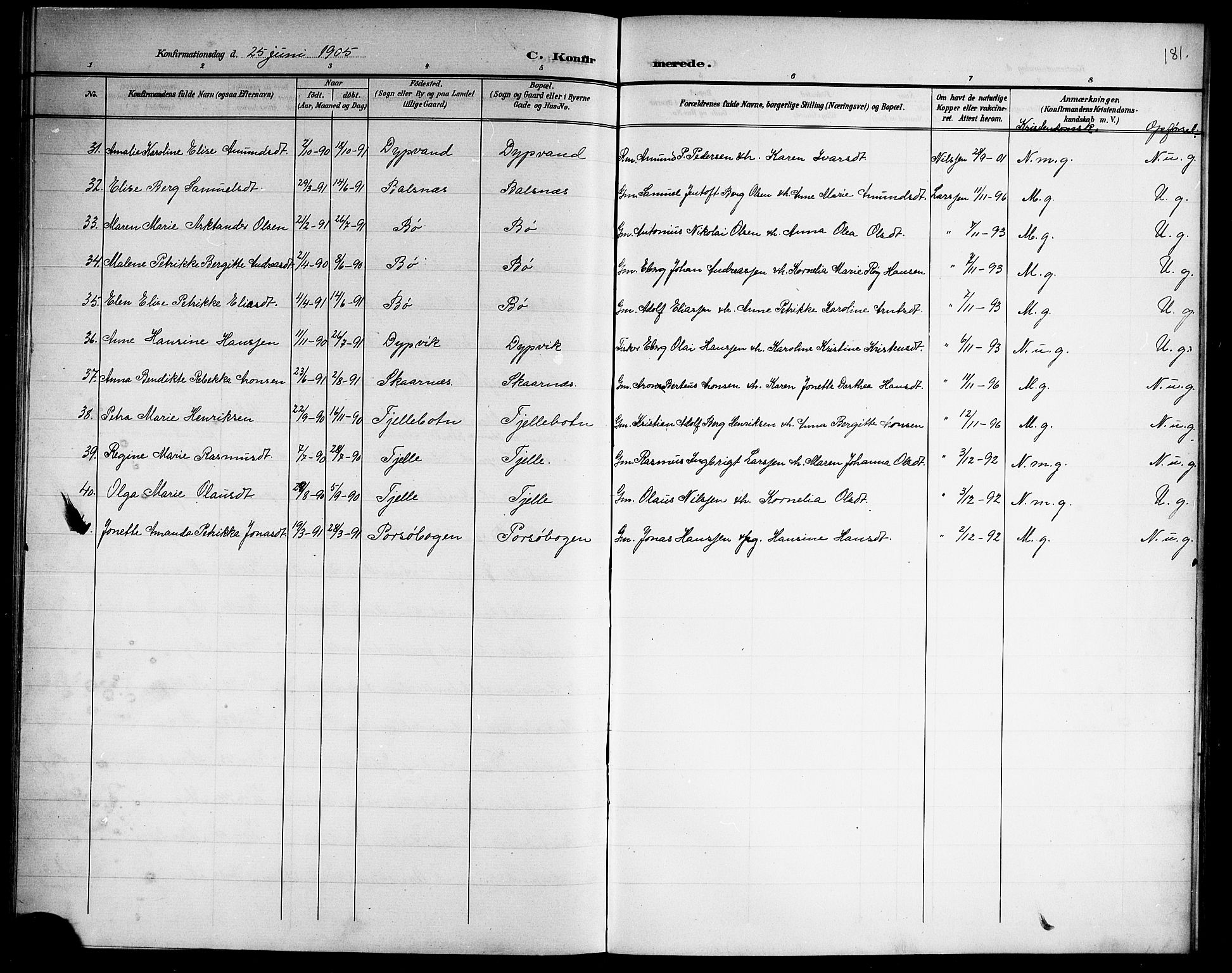 Ministerialprotokoller, klokkerbøker og fødselsregistre - Nordland, AV/SAT-A-1459/863/L0915: Parish register (copy) no. 863C05, 1898-1907, p. 181