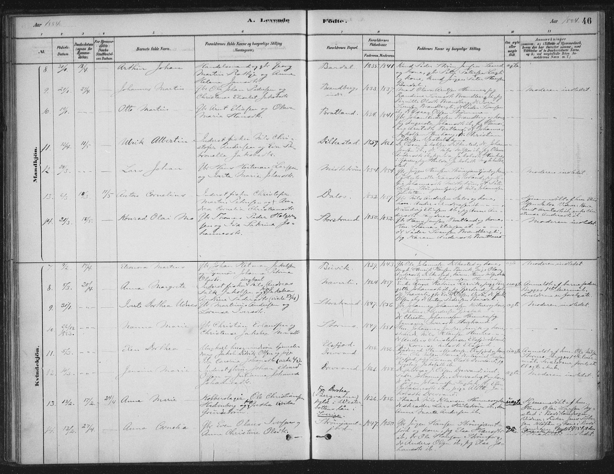 Ministerialprotokoller, klokkerbøker og fødselsregistre - Nordland, AV/SAT-A-1459/825/L0361: Parish register (official) no. 825A15, 1878-1893, p. 46