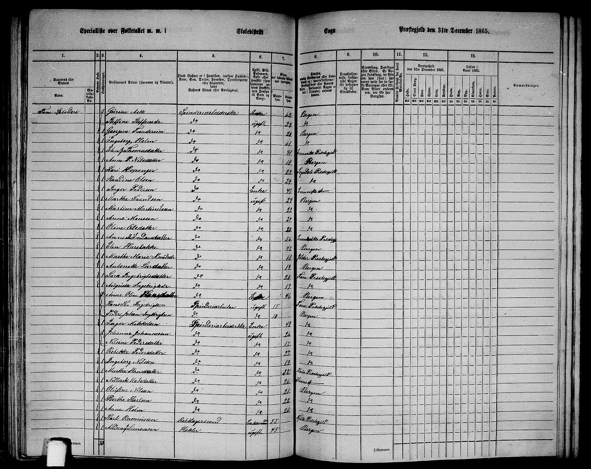 RA, 1865 census for Fana, 1865, p. 102