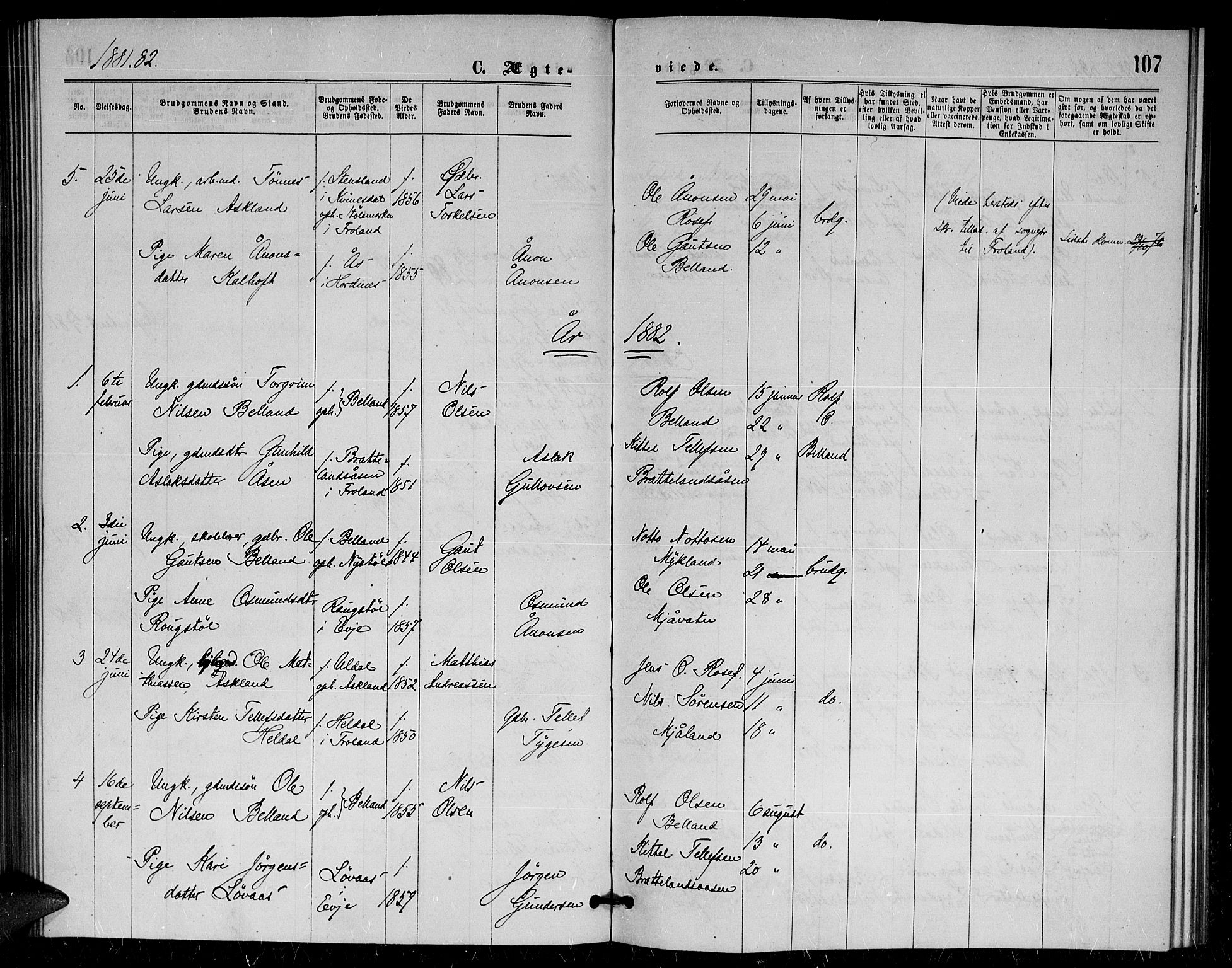 Herefoss sokneprestkontor, AV/SAK-1111-0019/F/Fa/Fac/L0001: Parish register (official) no. A 1, 1871-1886, p. 107