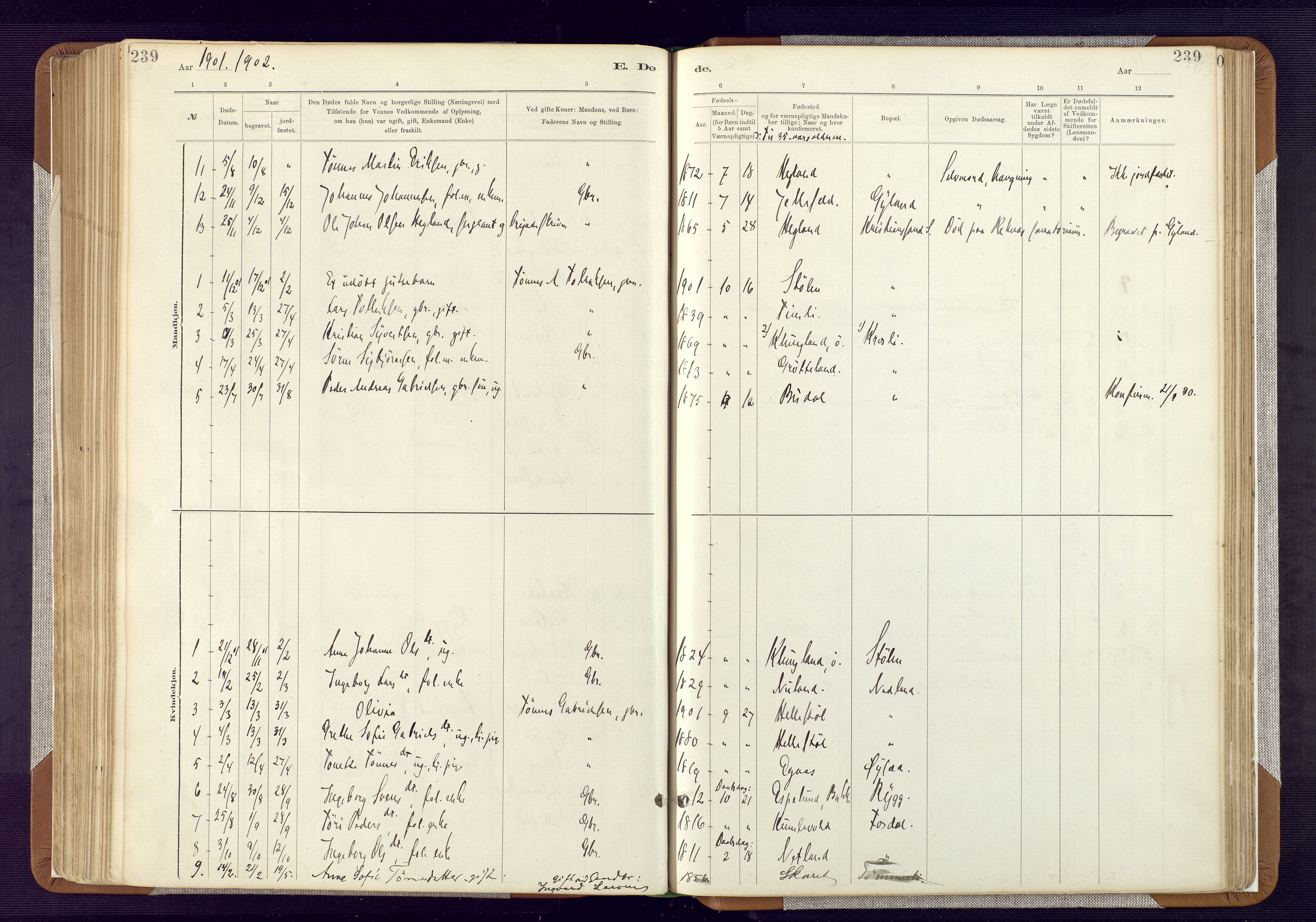 Bakke sokneprestkontor, SAK/1111-0002/F/Fa/Fab/L0003: Parish register (official) no. A 3, 1884-1921, p. 239