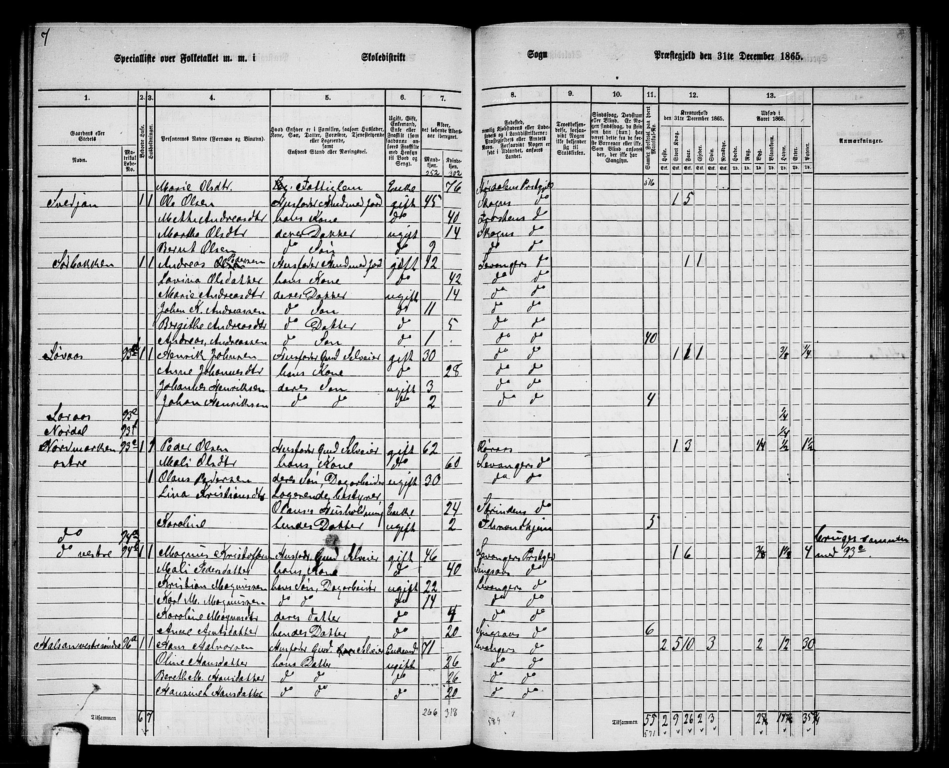 RA, 1865 census for Levanger/Levanger, 1865, p. 46