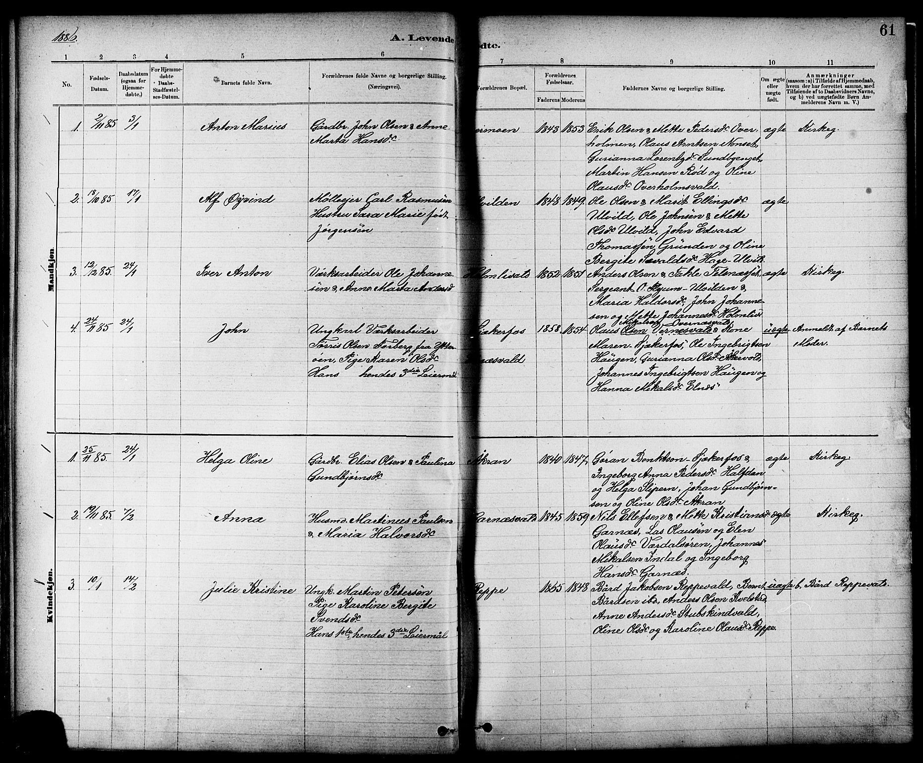 Ministerialprotokoller, klokkerbøker og fødselsregistre - Nord-Trøndelag, AV/SAT-A-1458/724/L0267: Parish register (copy) no. 724C03, 1879-1898, p. 61