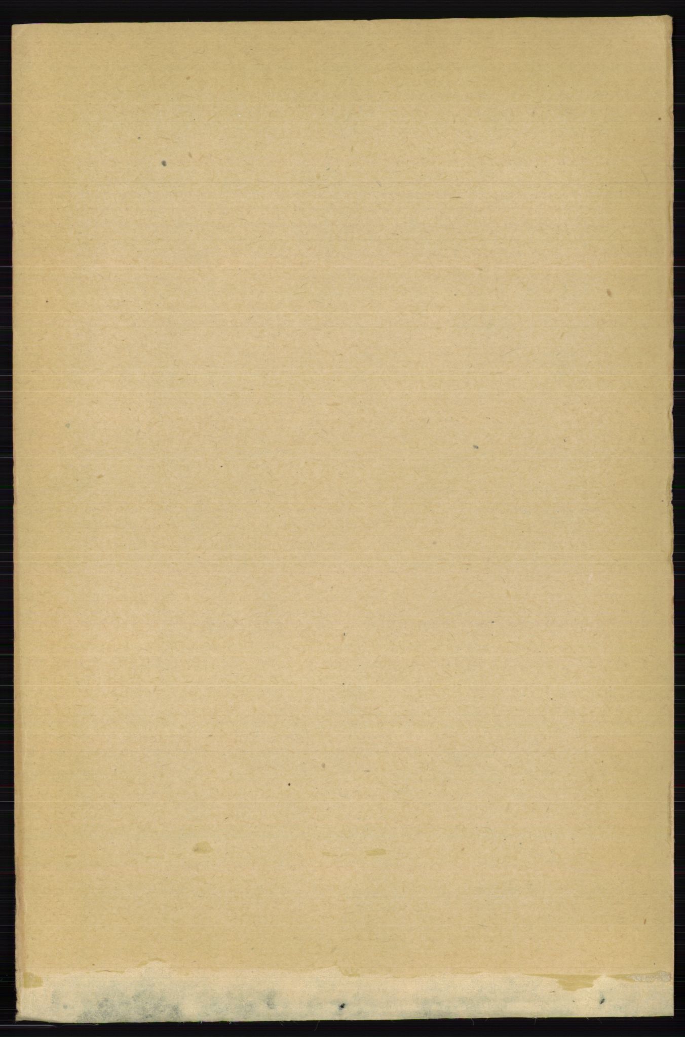 RA, 1891 census for 0236 Nes, 1891, p. 4581