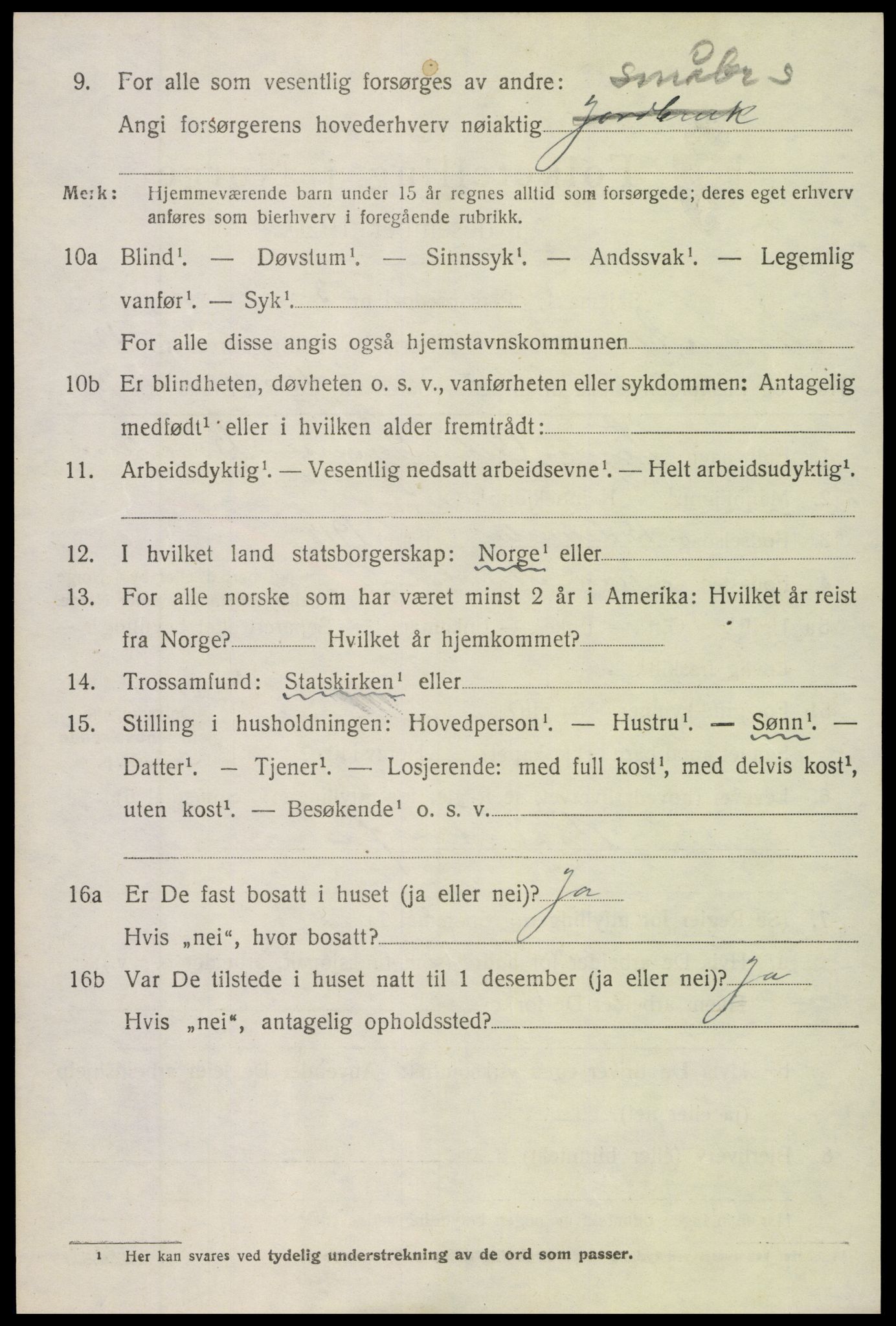 SAH, 1920 census for Nord-Aurdal, 1920, p. 10307