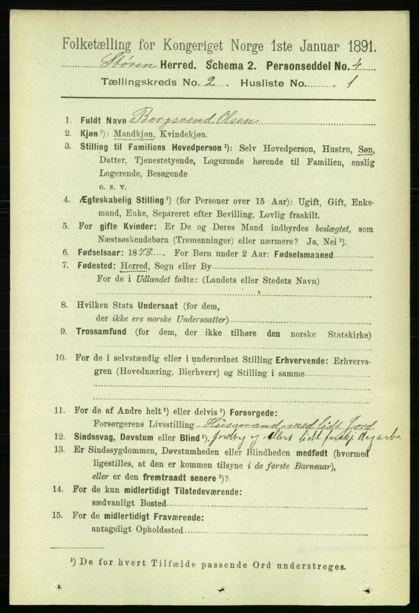 RA, 1891 census for 1648 Støren, 1891, p. 416