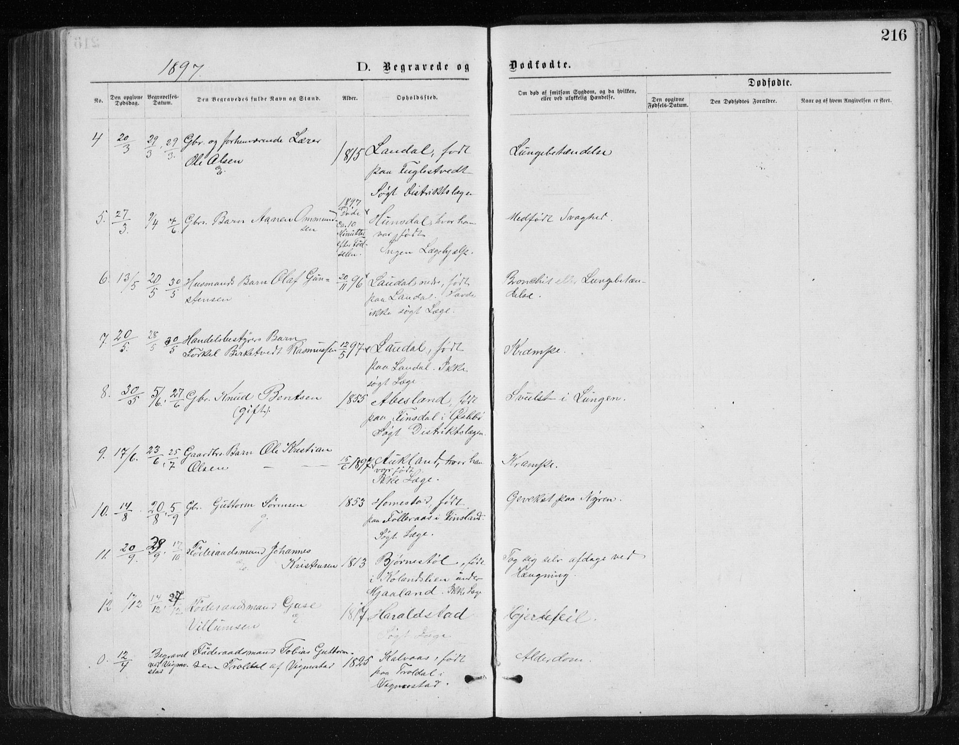 Holum sokneprestkontor, AV/SAK-1111-0022/F/Fb/Fbb/L0003: Parish register (copy) no. B 3, 1875-1898, p. 216