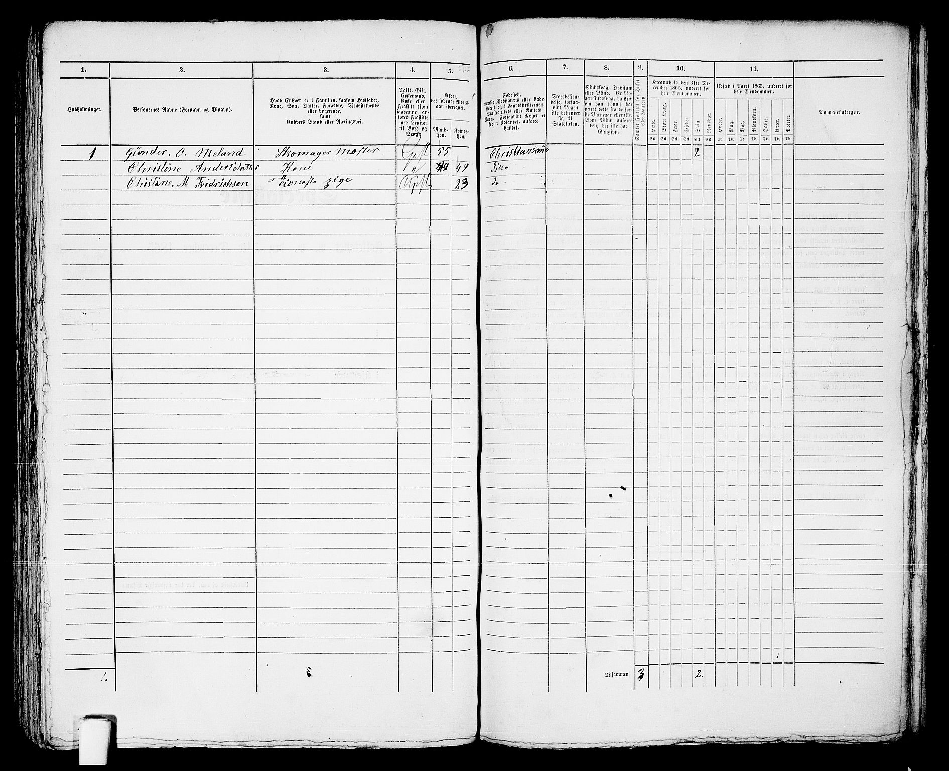 RA, 1865 census for Kristiansand, 1865, p. 939