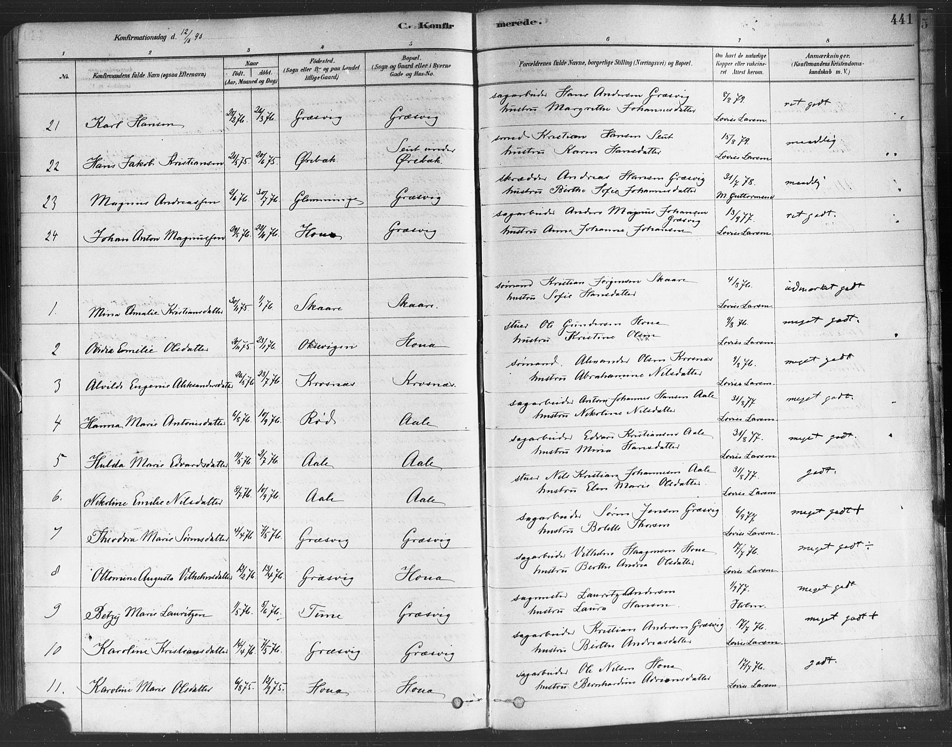 Onsøy prestekontor Kirkebøker, SAO/A-10914/F/Fa/L0005: Parish register (official) no. I 5, 1878-1898, p. 441