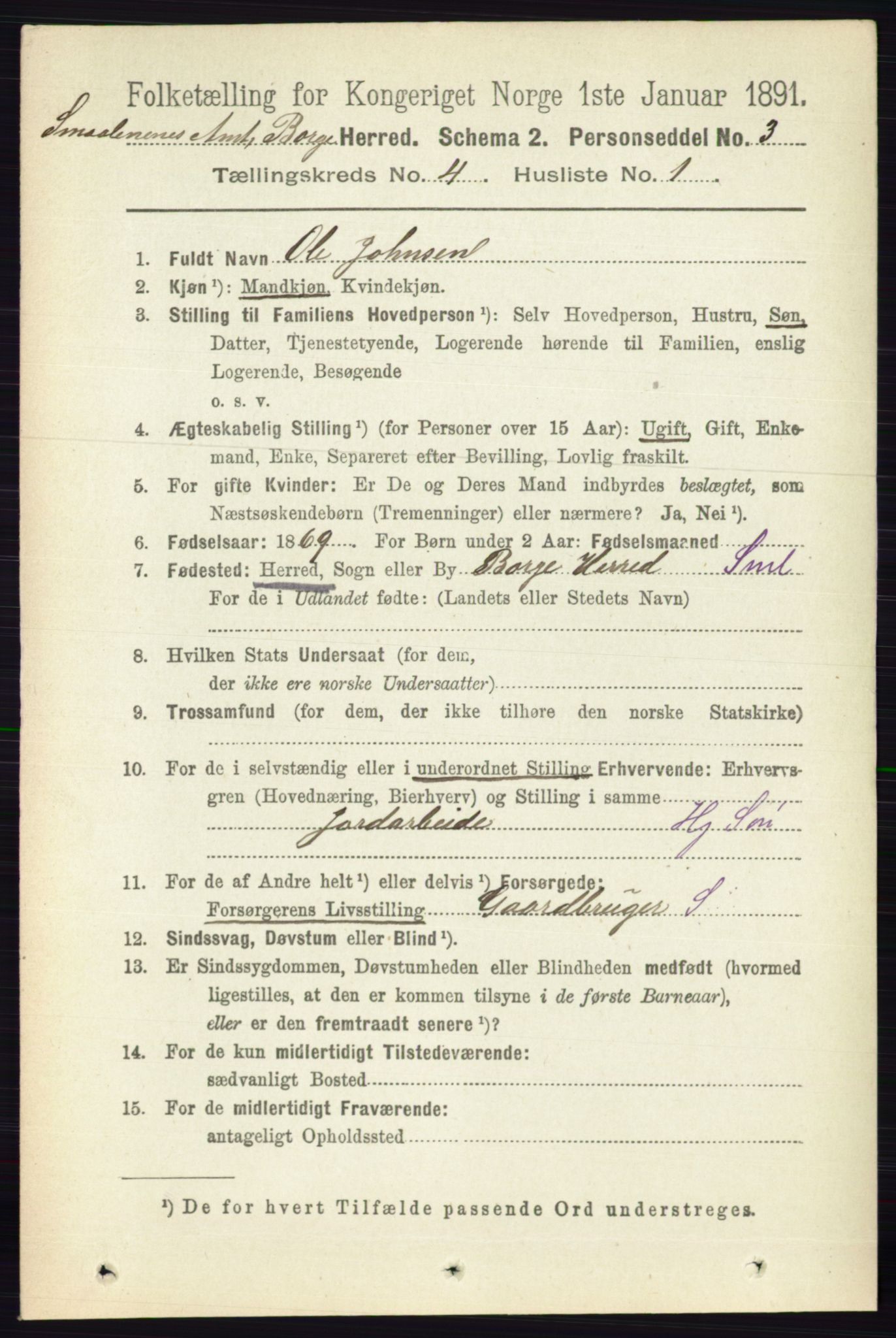 RA, 1891 census for 0113 Borge, 1891, p. 1658