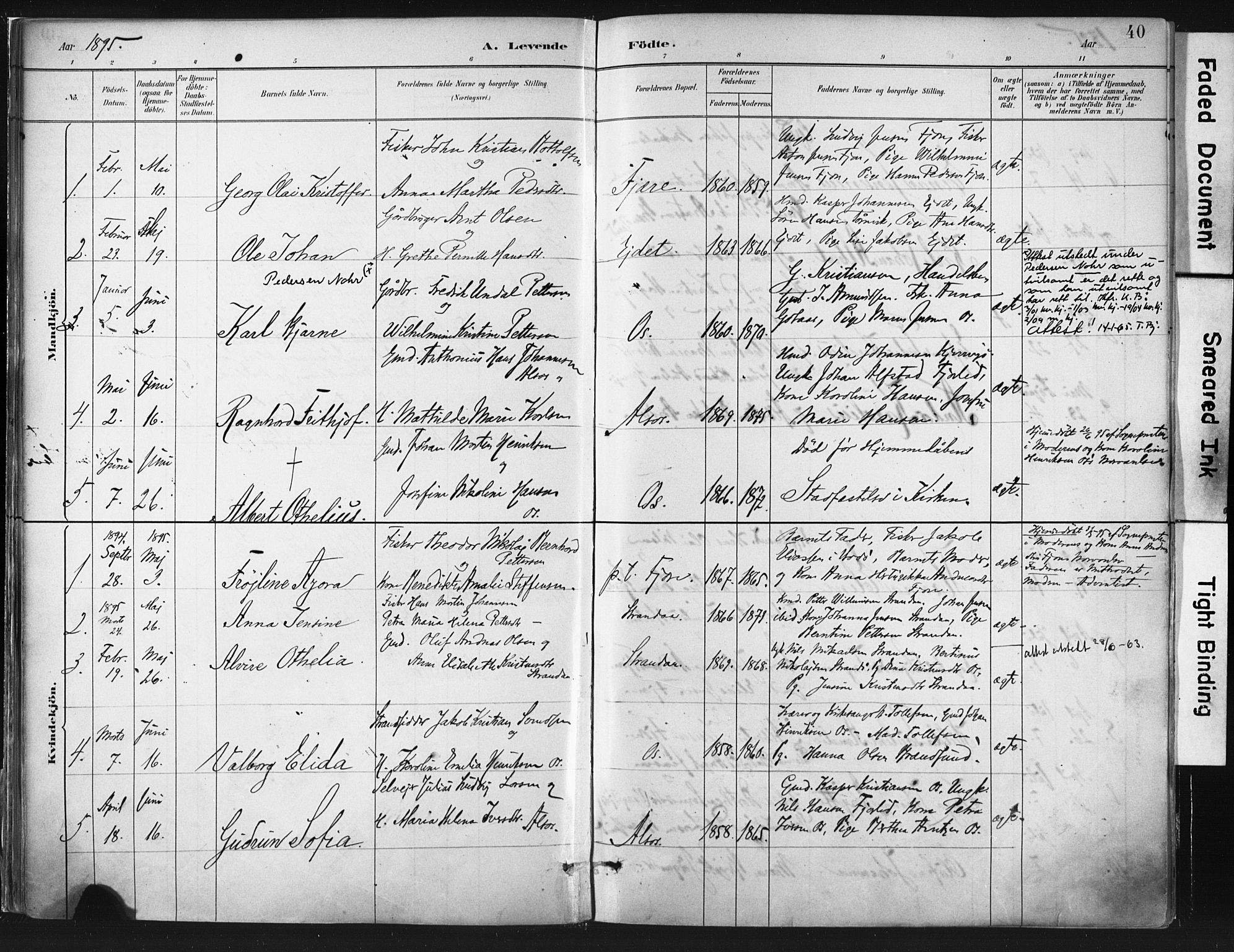 Ministerialprotokoller, klokkerbøker og fødselsregistre - Nordland, SAT/A-1459/803/L0071: Parish register (official) no. 803A01, 1881-1897, p. 40