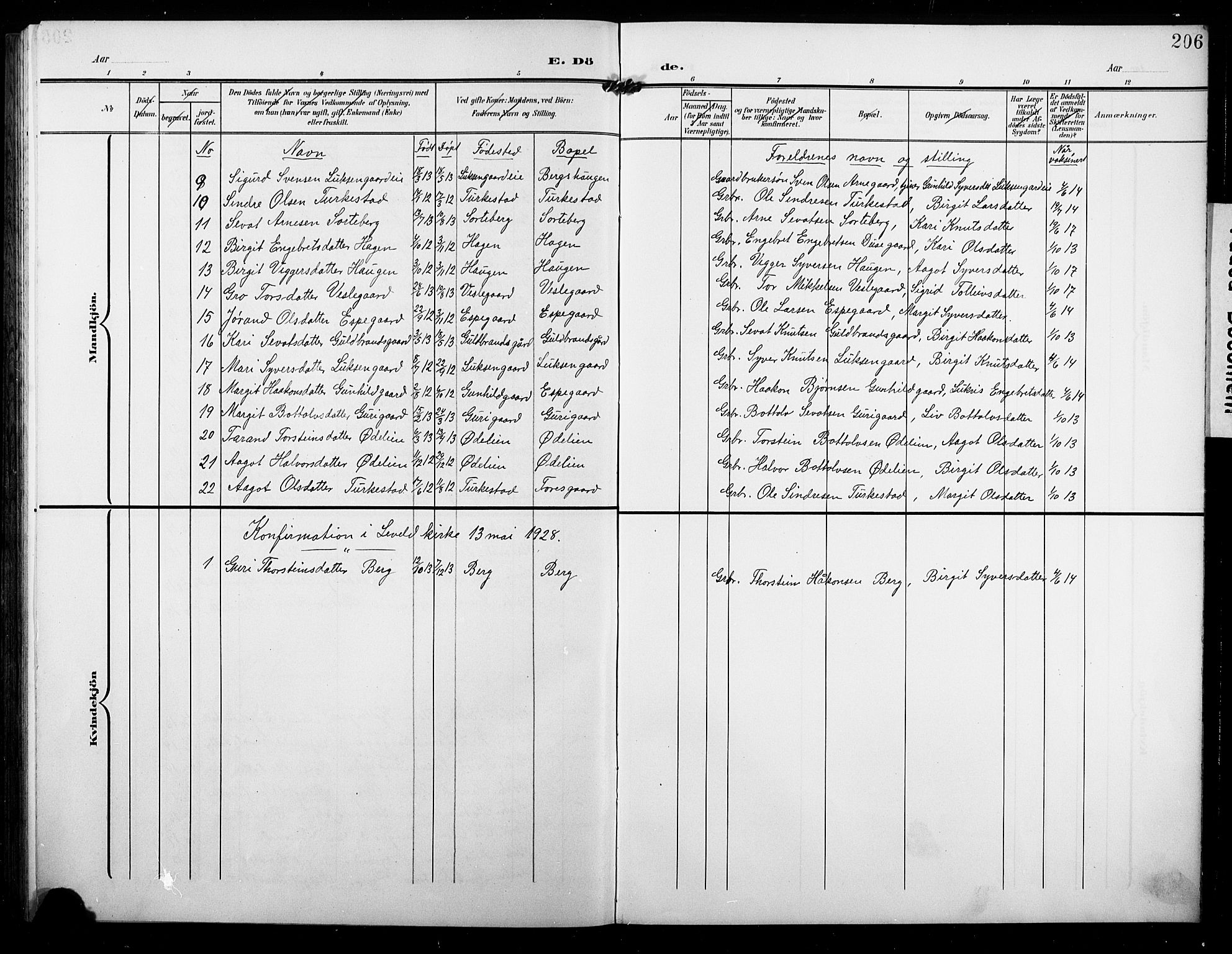 Ål kirkebøker, AV/SAKO-A-249/G/Ga/L0002: Parish register (copy) no. 2, 1904-1928, p. 206