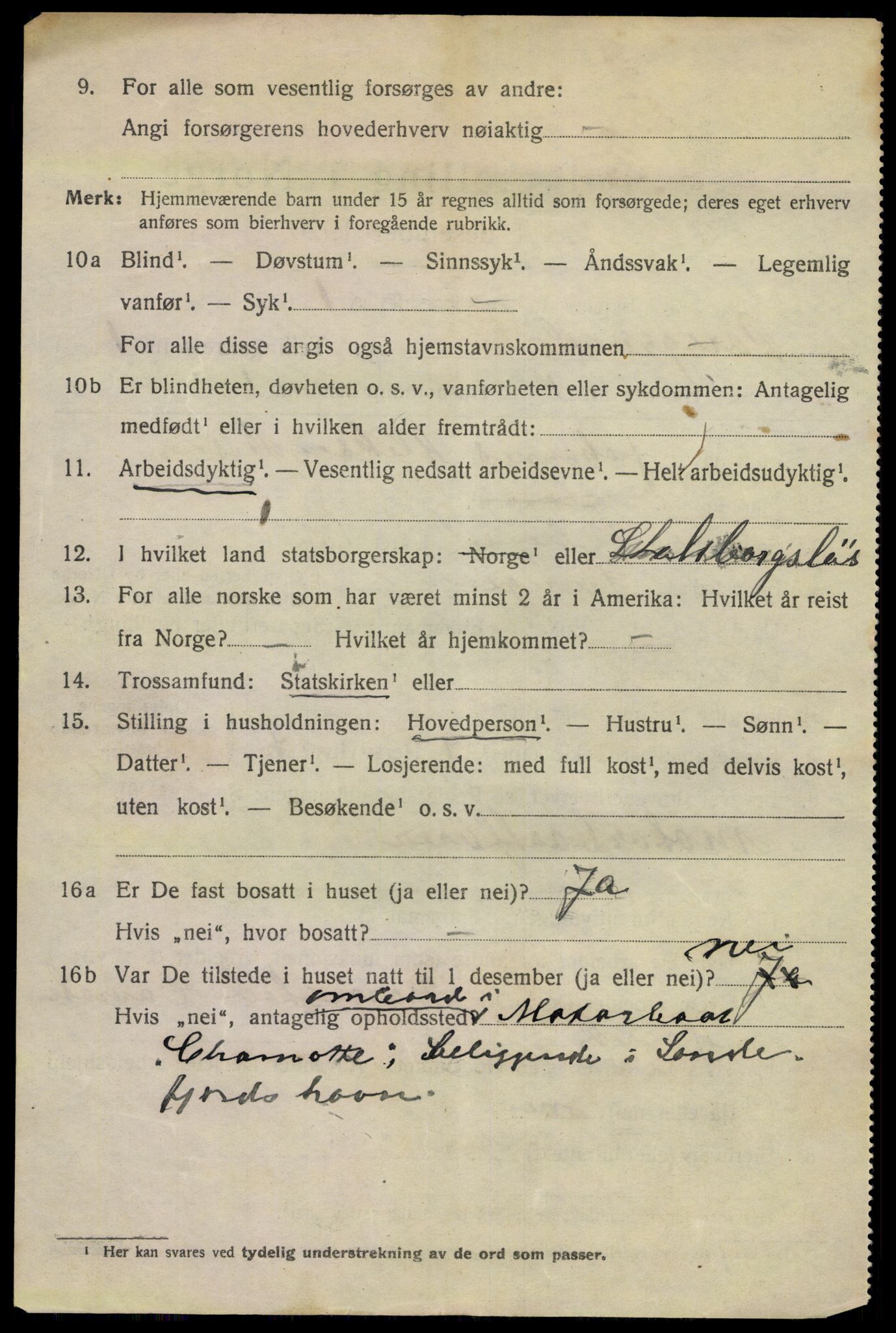 SAKO, 1920 census for Porsgrunn, 1920, p. 7106
