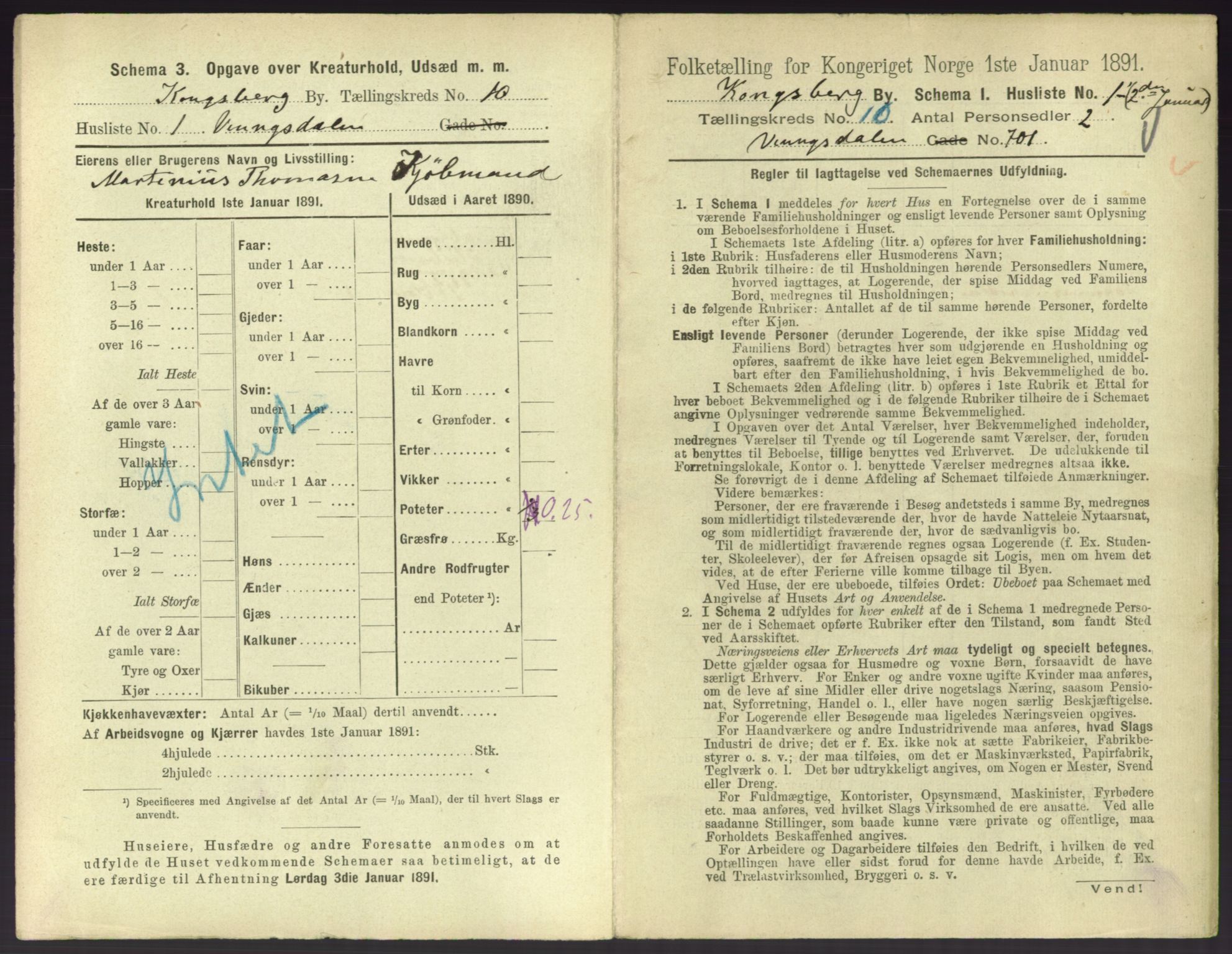 RA, 1891 census for 0604 Kongsberg, 1891, p. 1373