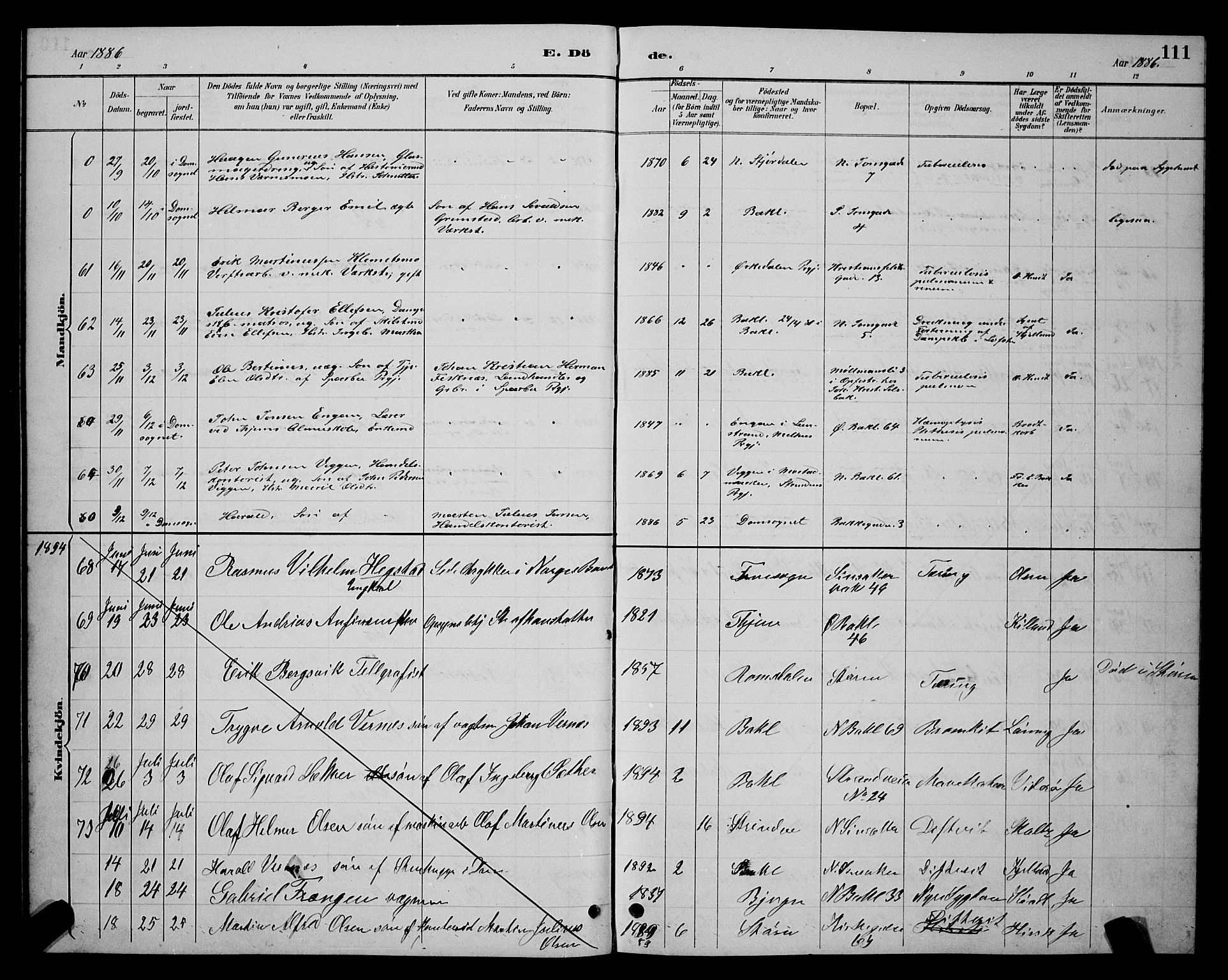 Ministerialprotokoller, klokkerbøker og fødselsregistre - Sør-Trøndelag, SAT/A-1456/604/L0223: Parish register (copy) no. 604C06, 1886-1897, p. 111