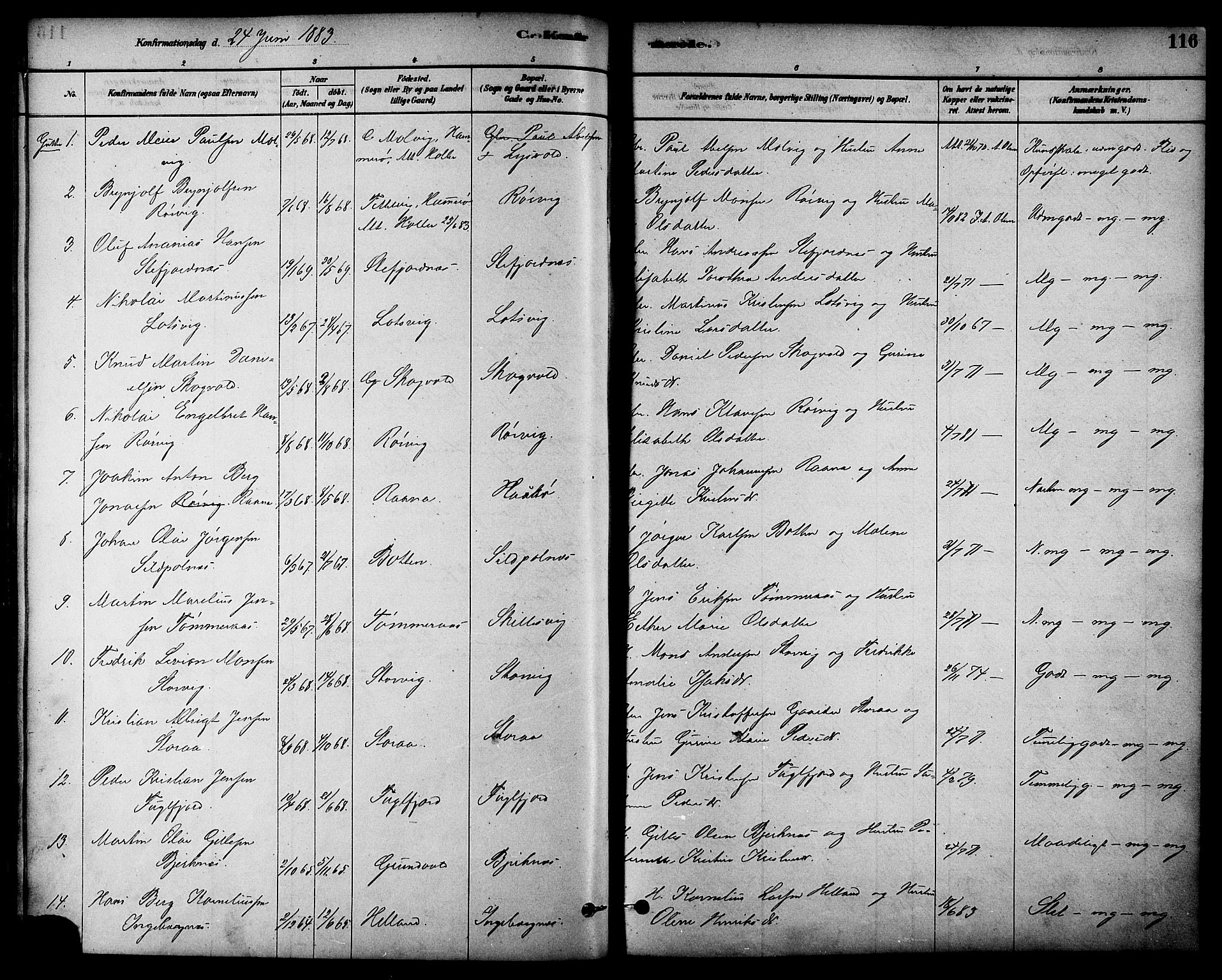 Ministerialprotokoller, klokkerbøker og fødselsregistre - Nordland, AV/SAT-A-1459/861/L0868: Parish register (official) no. 861A03, 1879-1889, p. 116