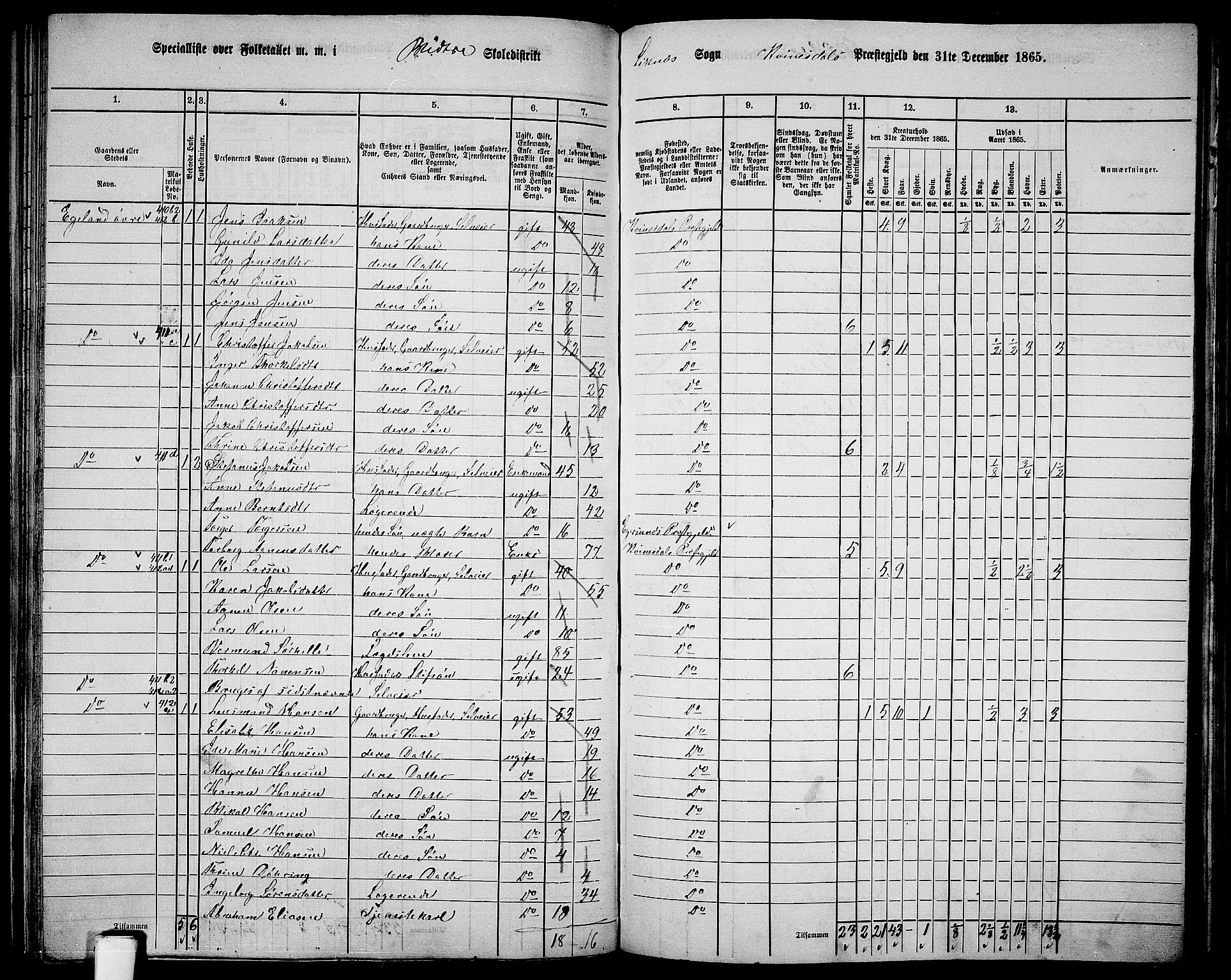 RA, 1865 census for Kvinesdal, 1865, p. 117