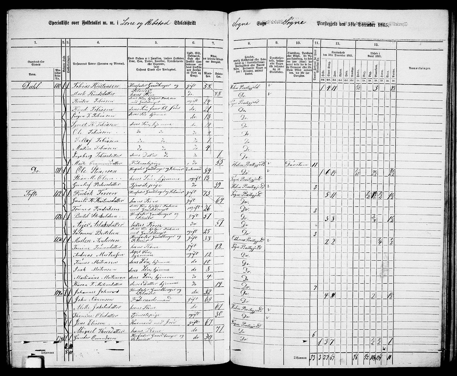 RA, 1865 census for Søgne, 1865, p. 113