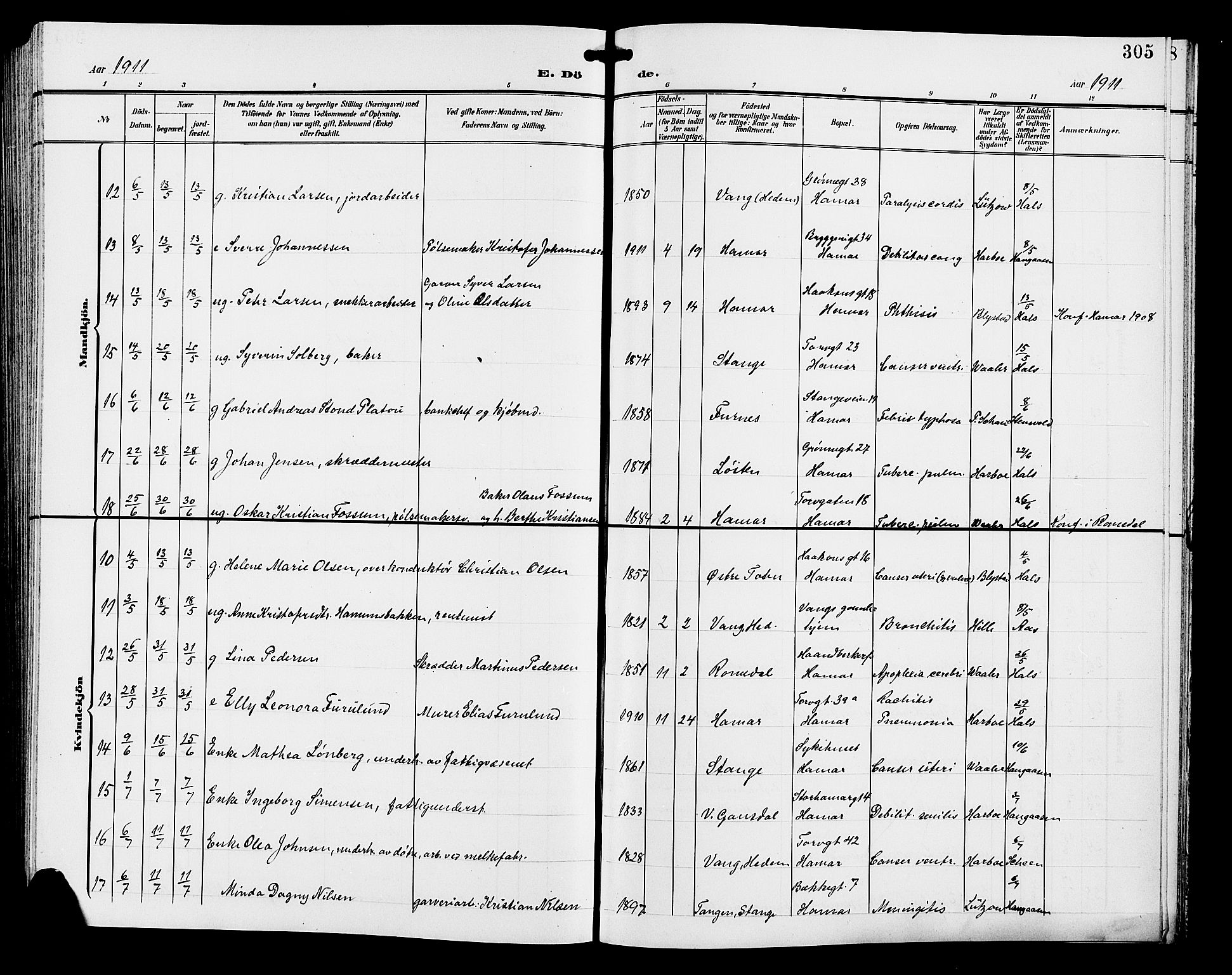 Hamar prestekontor, SAH/DOMPH-002/H/Ha/Hab/L0001: Parish register (copy) no. 1, 1899-1914, p. 305
