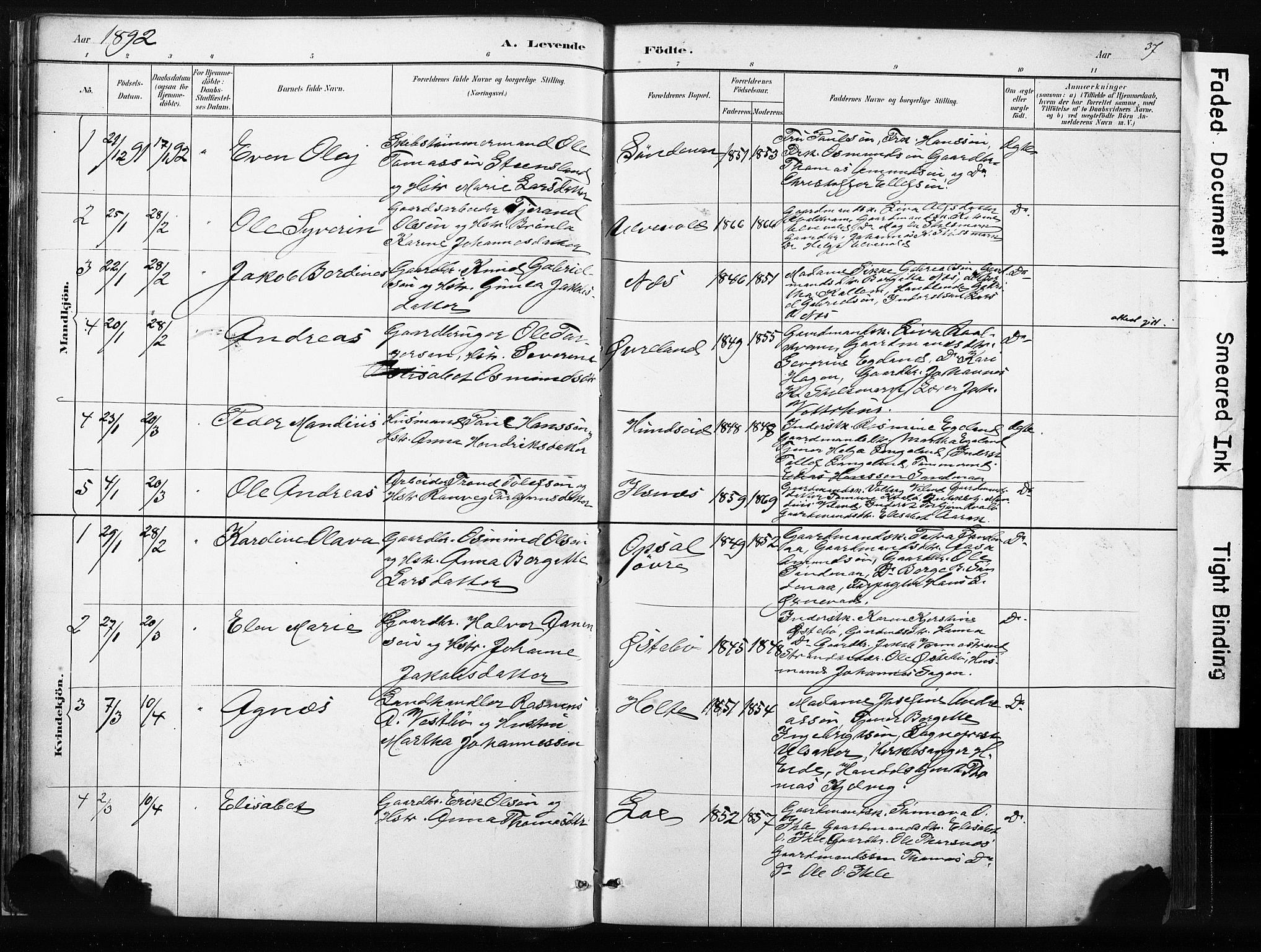 Vikedal sokneprestkontor, AV/SAST-A-101840/01/IV: Parish register (official) no. A 10, 1884-1907, p. 37