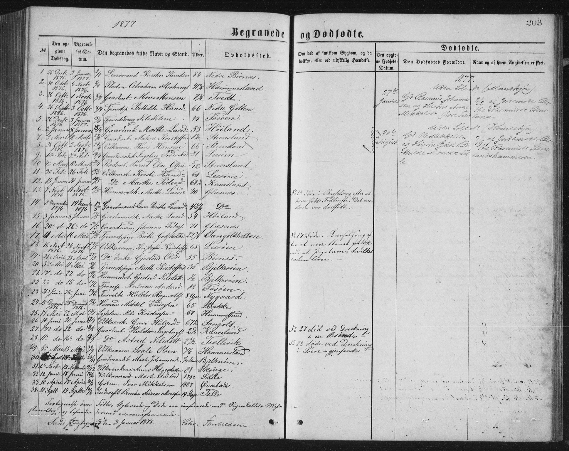 Sund sokneprestembete, SAB/A-99930: Parish register (copy) no. B 2, 1874-1881, p. 203