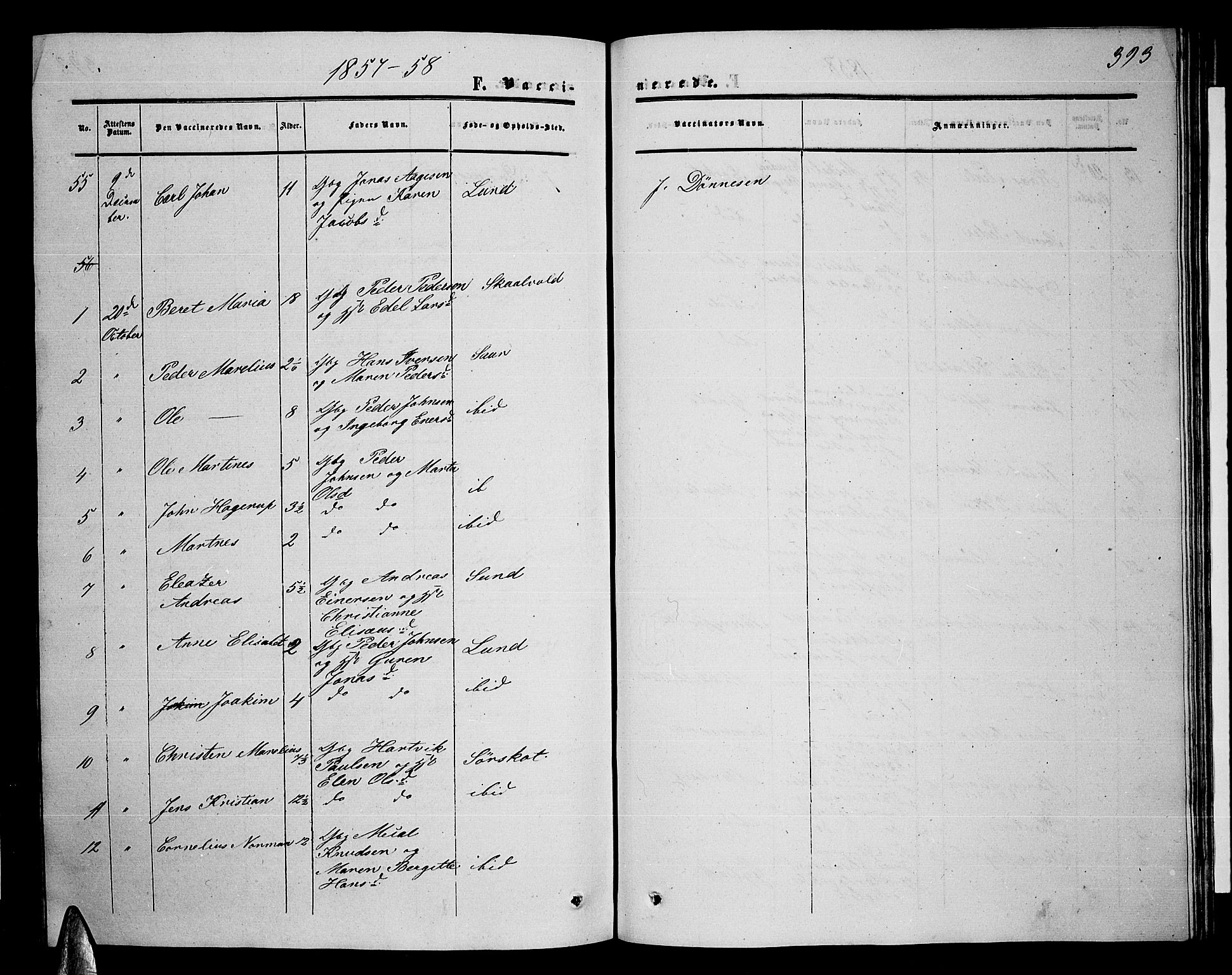 Ministerialprotokoller, klokkerbøker og fødselsregistre - Nordland, AV/SAT-A-1459/857/L0827: Parish register (copy) no. 857C02, 1852-1879, p. 393