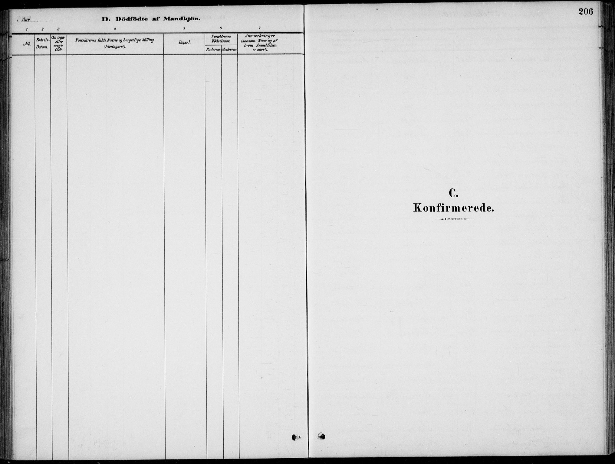 Flekkefjord sokneprestkontor, SAK/1111-0012/F/Fb/Fbc/L0007: Parish register (copy) no. B 7, 1880-1902, p. 206