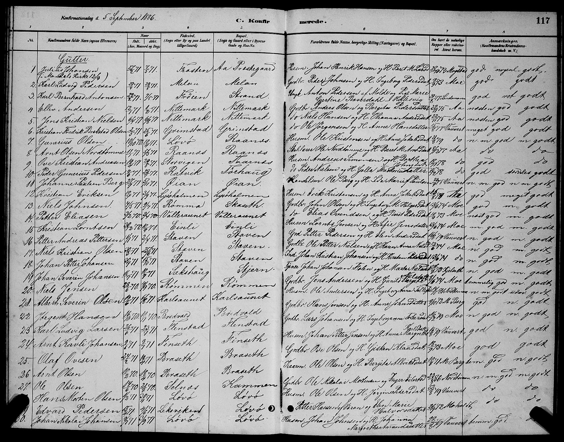 Ministerialprotokoller, klokkerbøker og fødselsregistre - Sør-Trøndelag, SAT/A-1456/655/L0687: Parish register (copy) no. 655C03, 1880-1898, p. 117