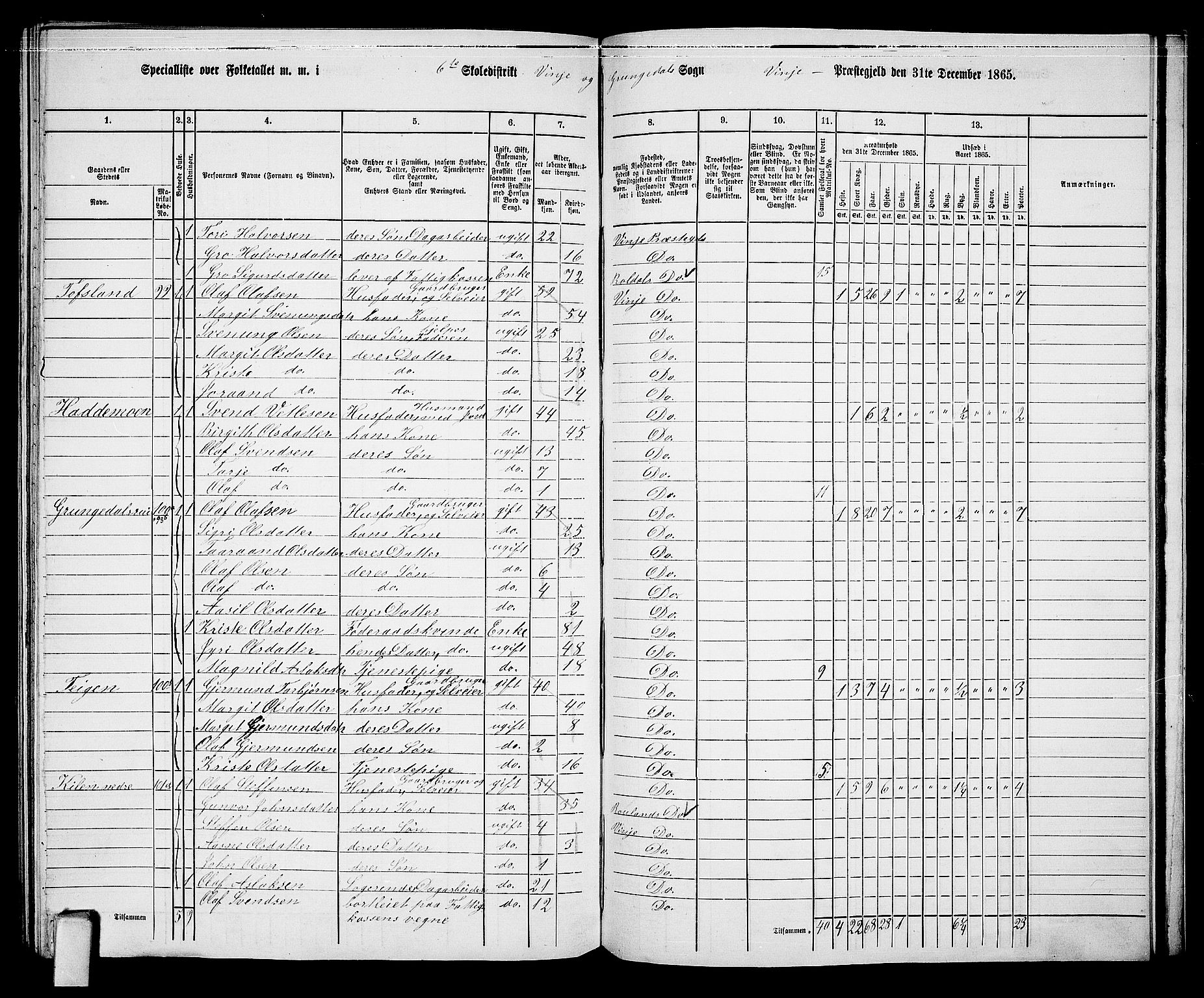 RA, 1865 census for Vinje, 1865, p. 61